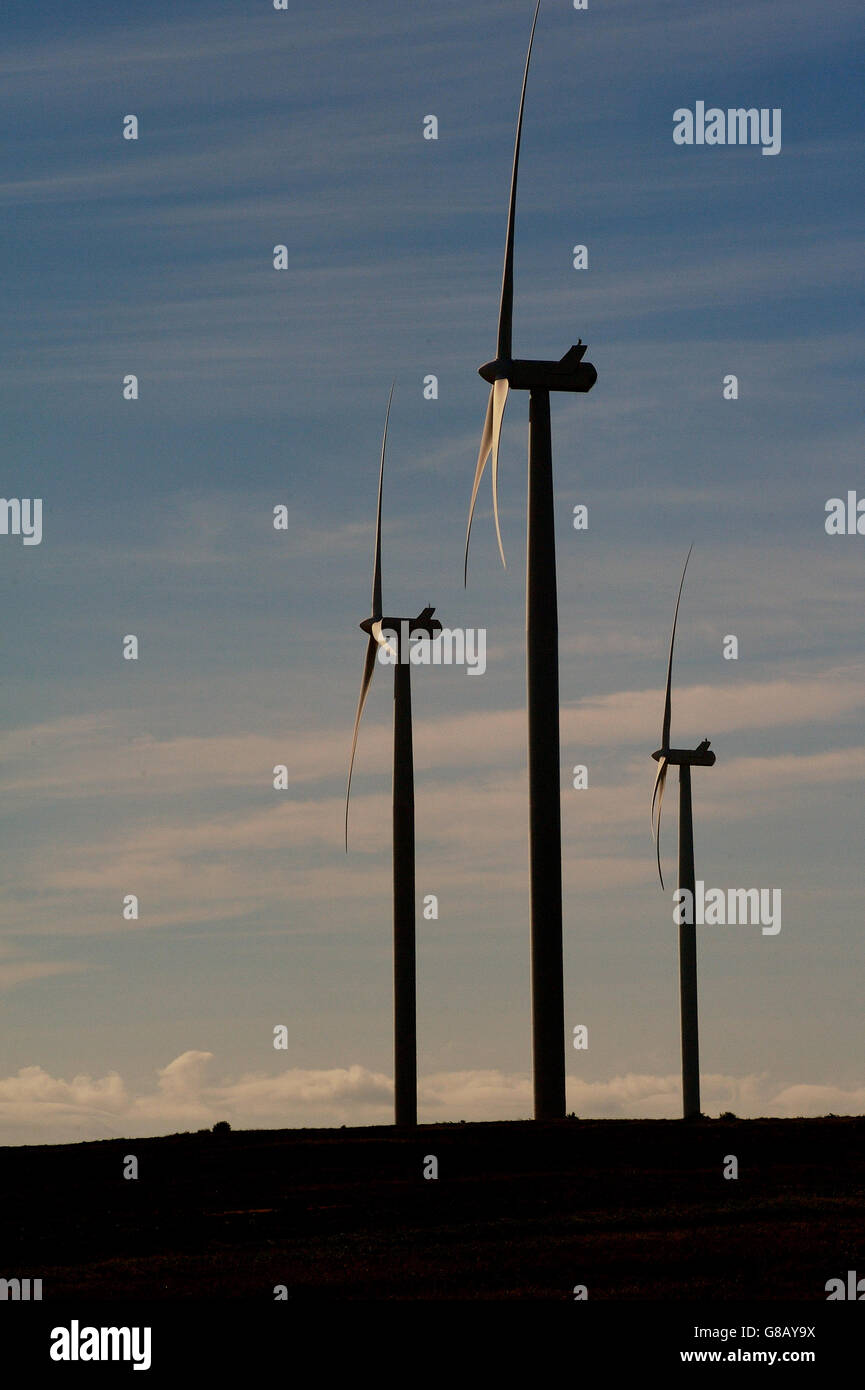 66MW, Hopefield, Saldana, Western Cape, Afrique du Sud Banque D'Images