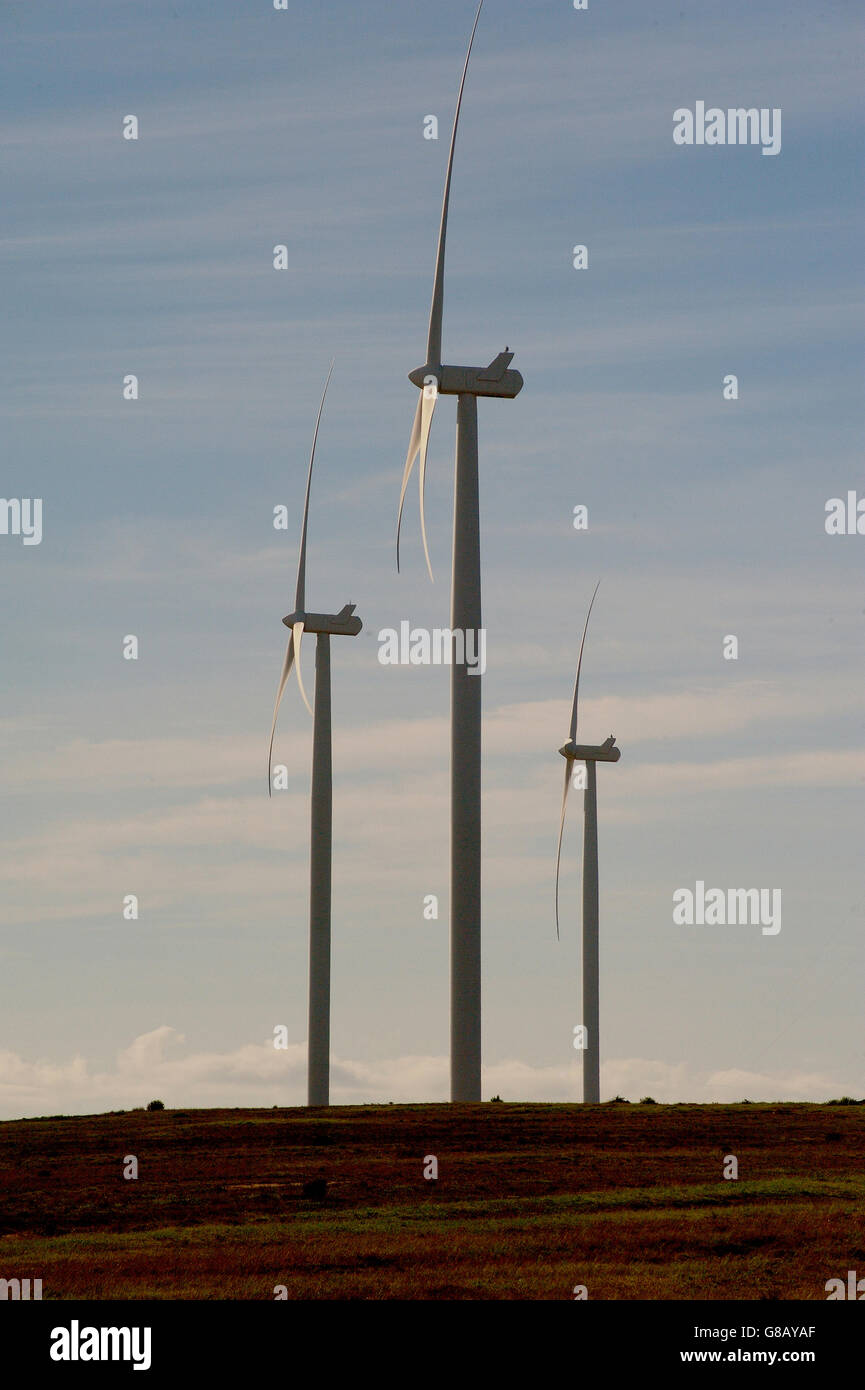 66MW, Hopefield, Saldana, Western Cape, Afrique du Sud Banque D'Images