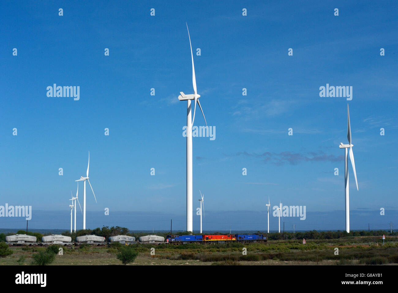 66MW, Hopefield, Saldana, Western Cape, Afrique du Sud Banque D'Images