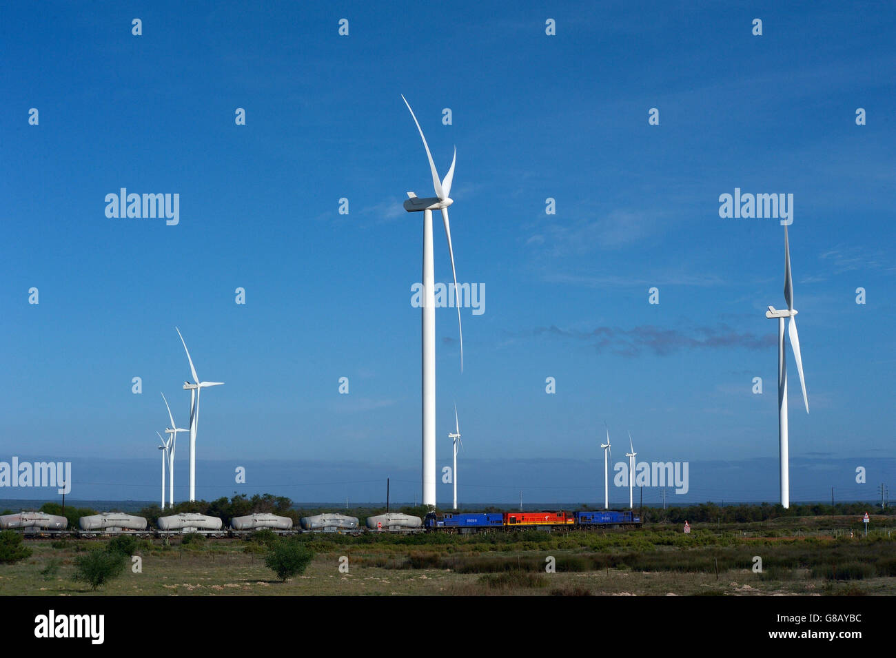 66MW, Hopefield, Saldana, Western Cape, Afrique du Sud Banque D'Images