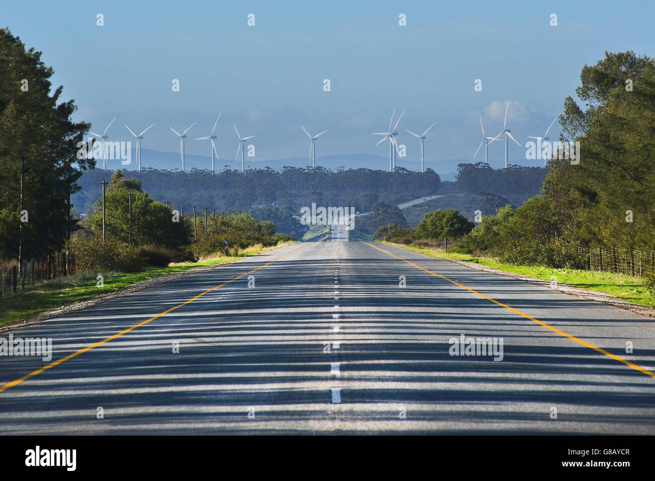 66MW, près de R45 Hopefield, Saldana, Western Cape, Afrique du Sud Banque D'Images