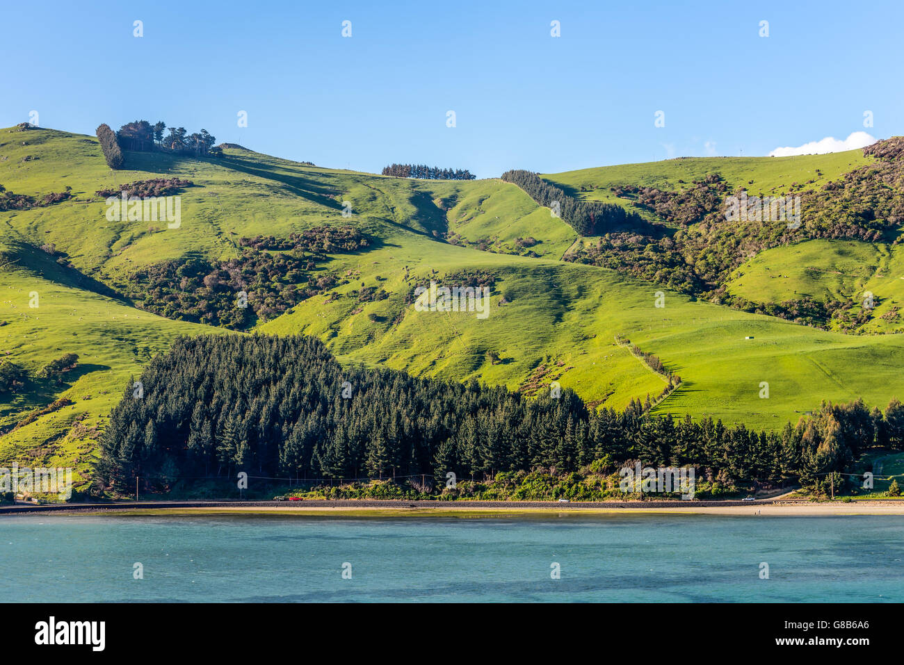 Beau paysage de la Nouvelle-Zélande - collines couvertes par l'herbe verte avec des troupeaux de moutons -près de Dunedin au sud de la région de l'Otago Banque D'Images
