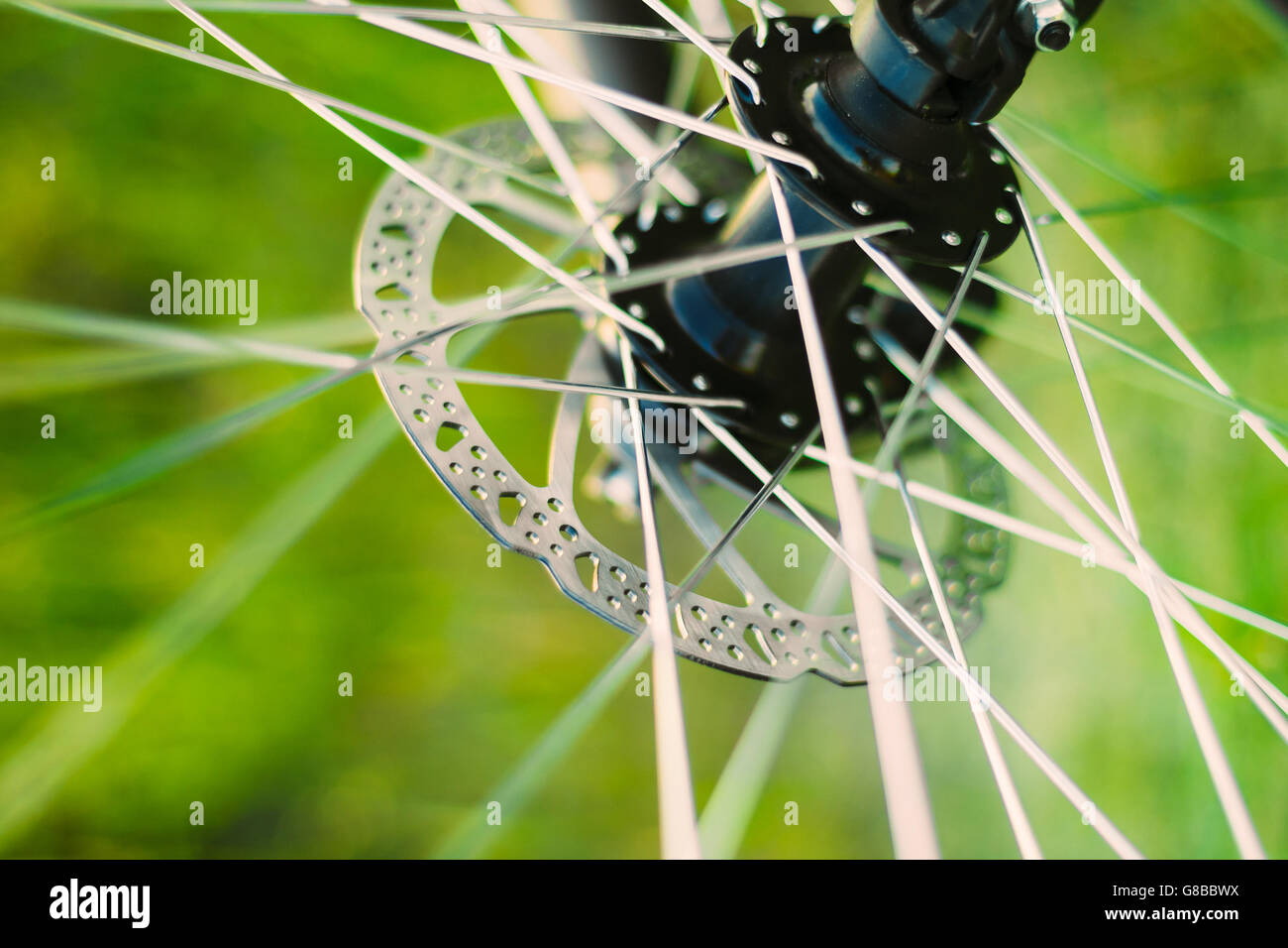 Roue de vélo arrière-plan. Close Up rayons. Banque D'Images