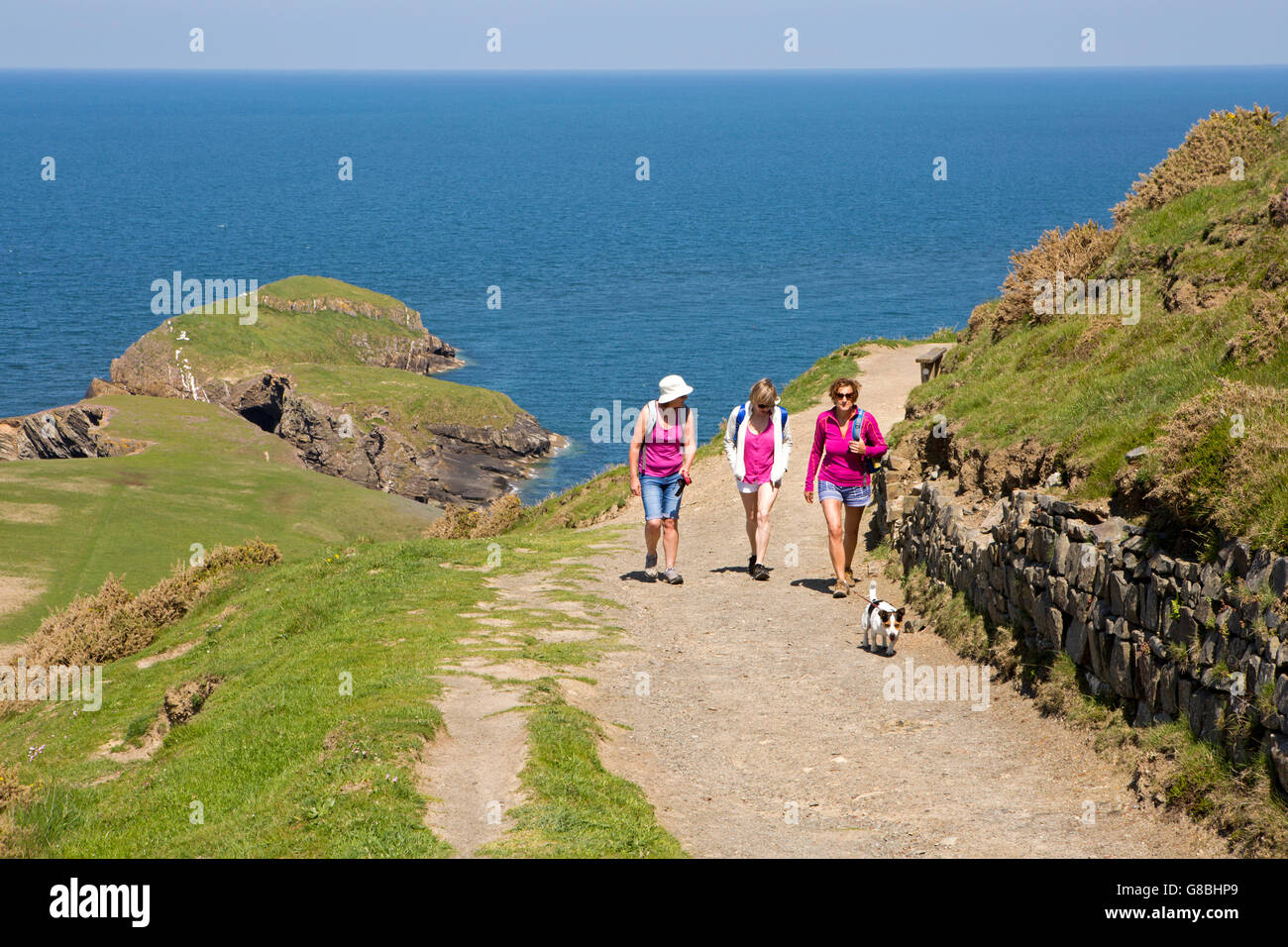 Royaume-uni, Pays de Galles, Ceredigion, Llangrannog, Lochtyn, trois promeneurs avec chien en côte Banque D'Images