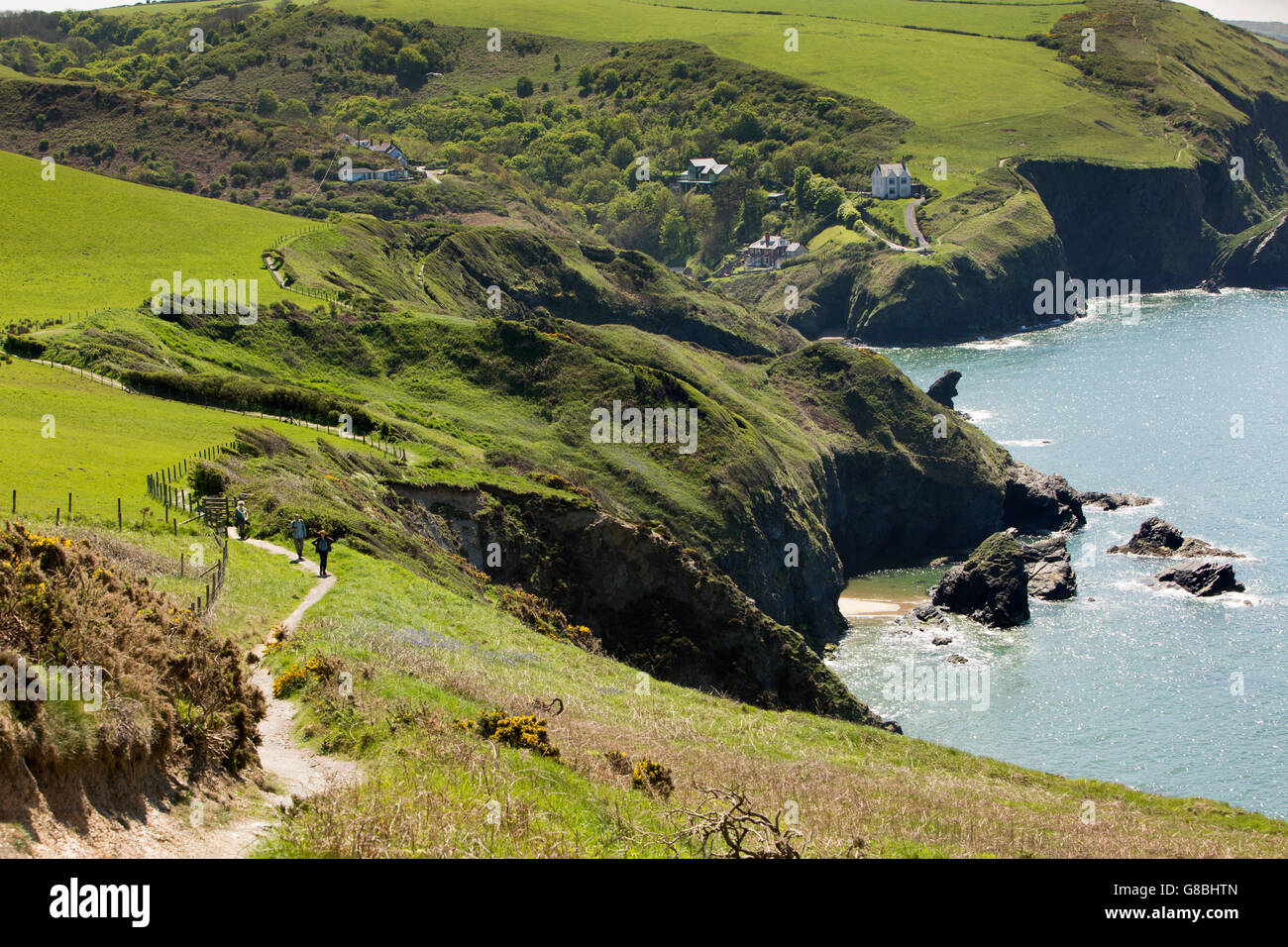 Royaume-uni, Pays de Galles, Ceredigion, Llangrannog, Lochtyn, marcheurs sur le chemin de la côte vers le village Banque D'Images