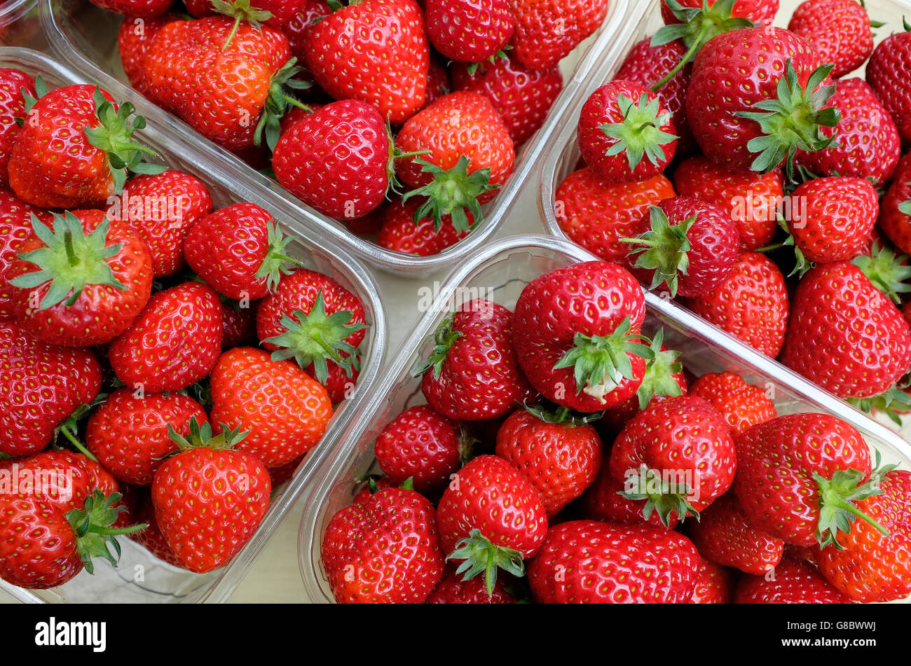 Anglais frais fraises dans des contenants en plastique Banque D'Images