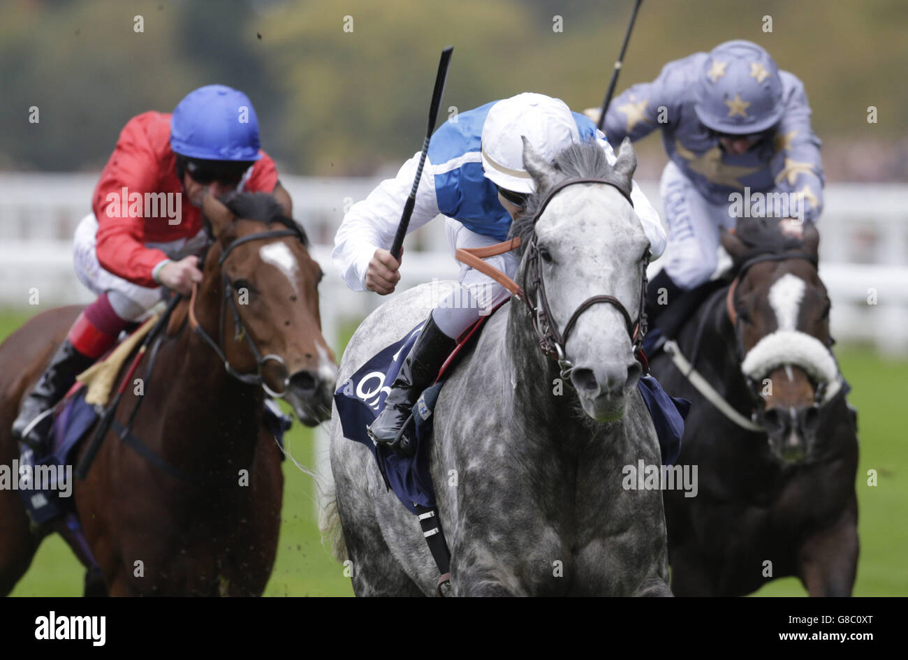 Solow, monté par Maxime Guyon (au centre), mène le terrain pour gagner les piquets de la reine Elizabeth II lors de la journée des champions britanniques à l'hippodrome d'Ascot. Banque D'Images