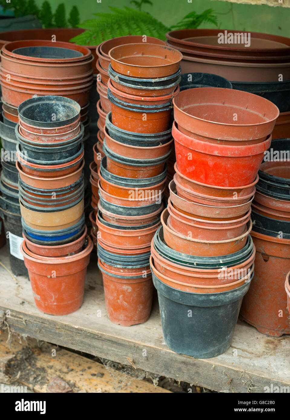 Pots en plastique vides empilées sur une étagère dans un polytunnel. Banque D'Images