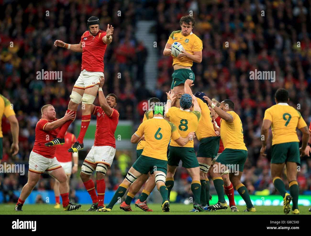Kane Douglas, en Australie, remporte la ligne lors du match de la coupe du monde de rugby au stade de Twickenham, à Londres. Banque D'Images Kane Douglas, en Australie, remporte la ligne lors du match de la coupe du monde de rugby au stade de Twickenham, à Londres. Banque D'Images