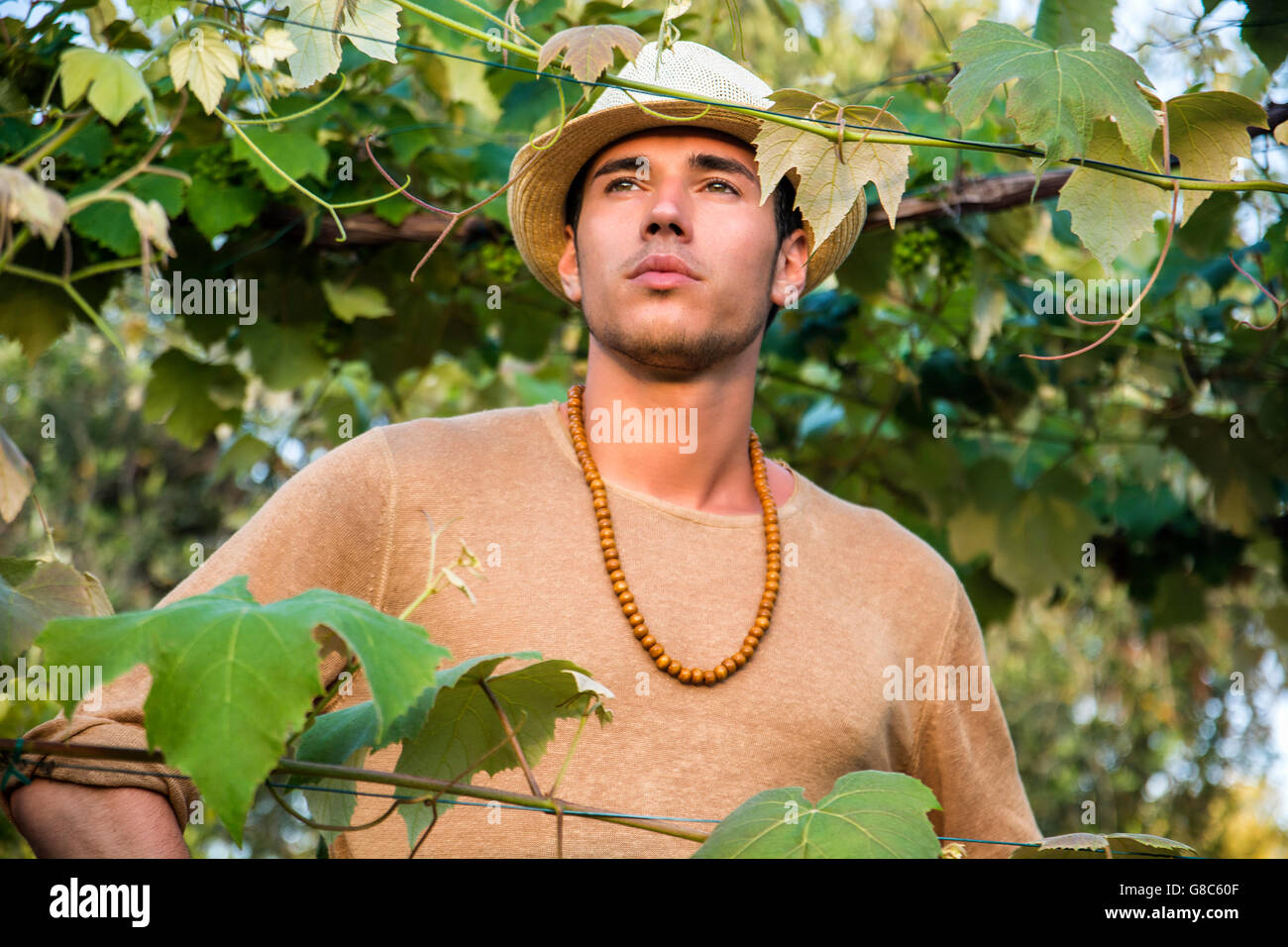 Vue latérale du beau jeune homme en chapeau toching feuilles de vigne dans la lumière du soleil dans le jardin Banque D'Images