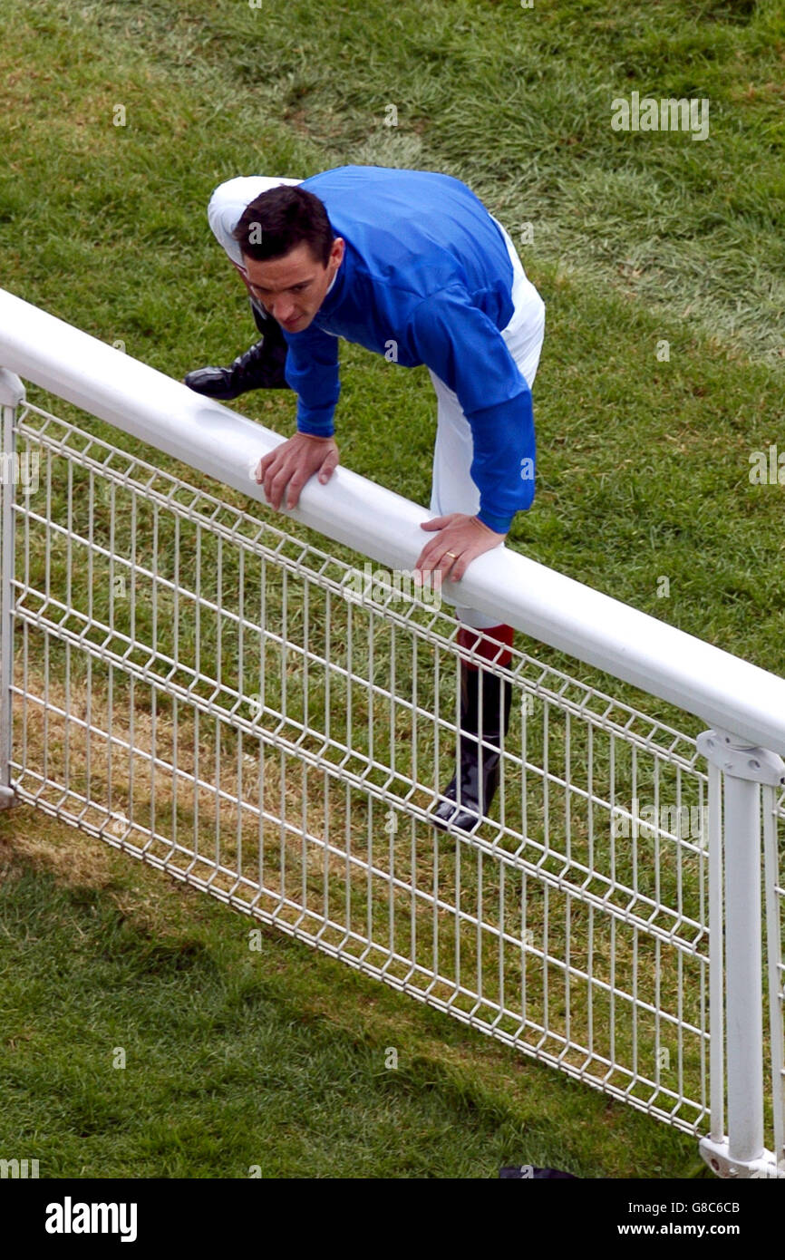 Courses hippiques - Vodafone Derby Day - Epsom Downs Racecourse. Frankie Dettori saute sur une clôture Banque D'Images