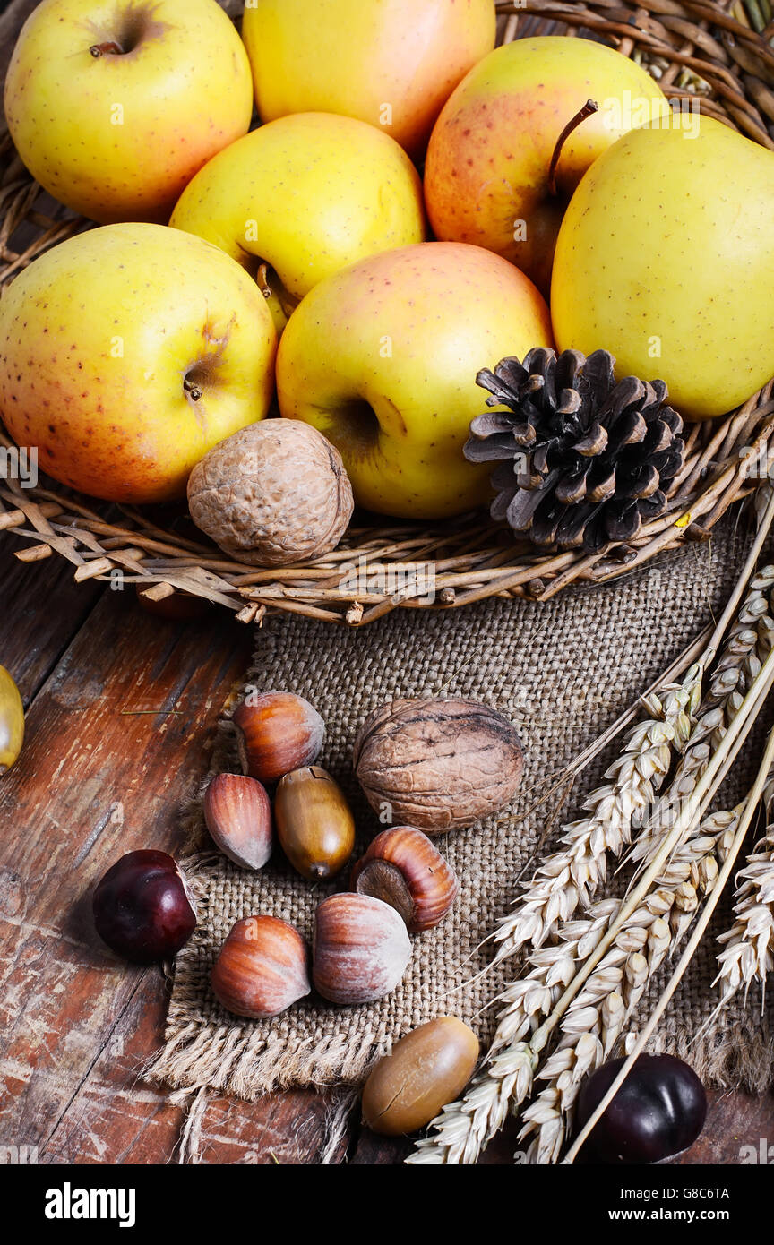 Chasse d'automne de pommes dans la vie toujours avec écrous, épis de blé et des pommes de pin Banque D'Images