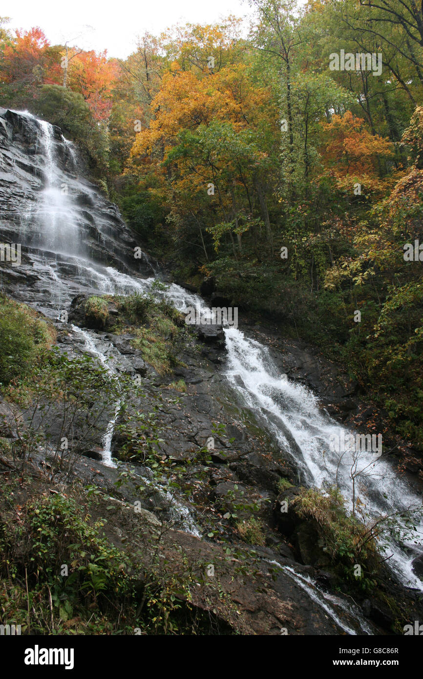 Amicalola Falls Cascade en automne Banque D'Images