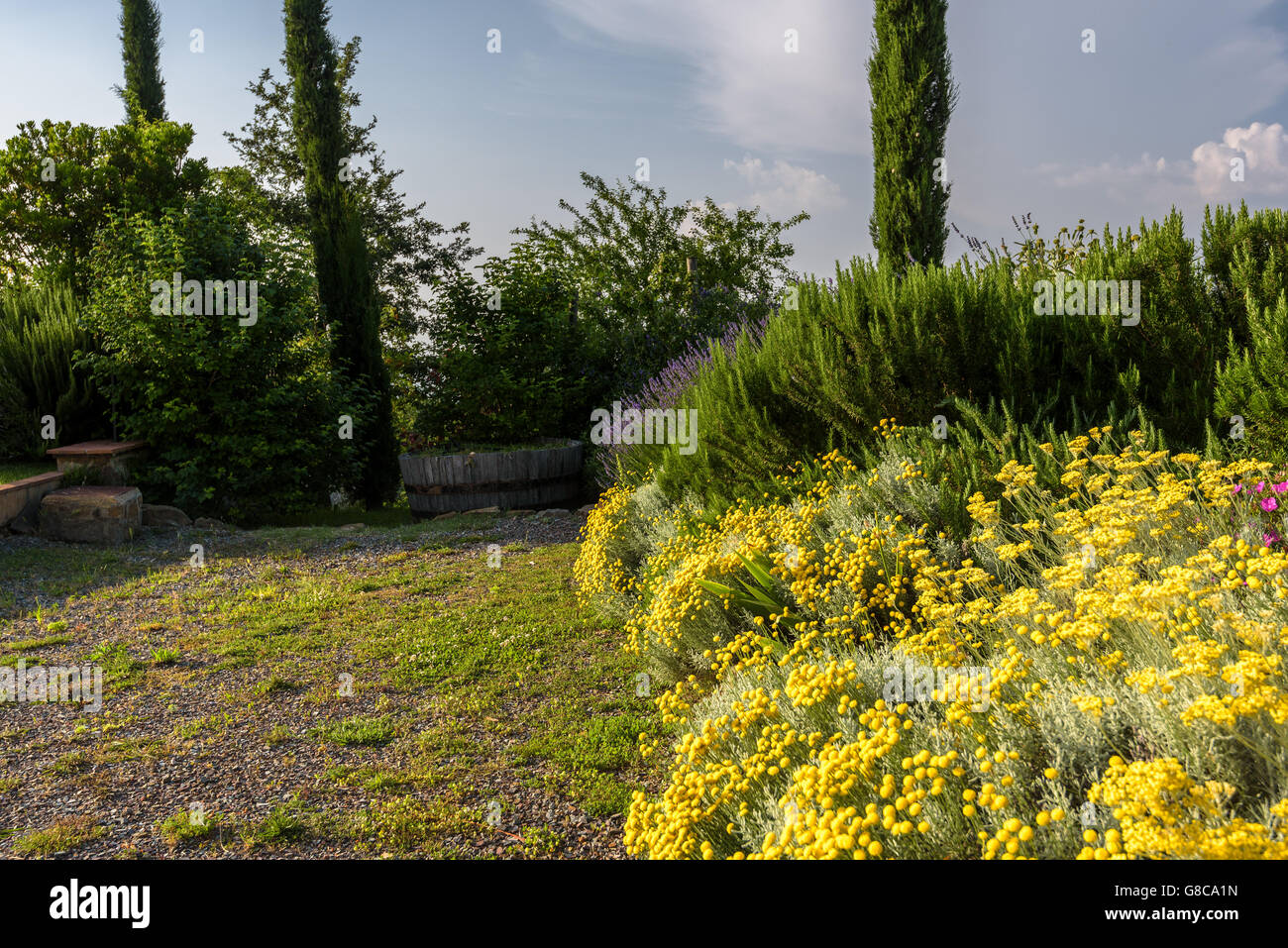 Aroun Cypress road en temps de printemps. Banque D'Images