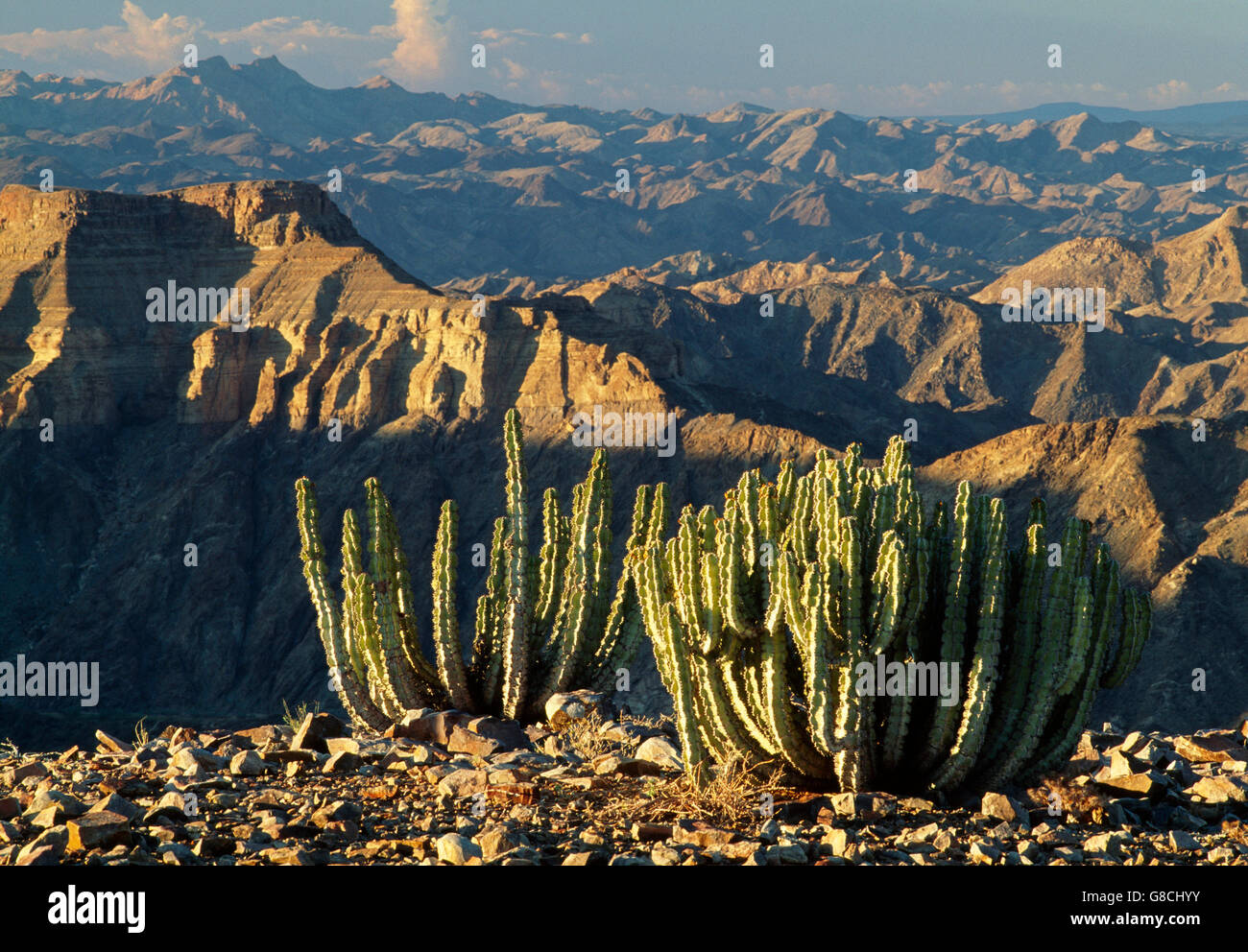 Fish River Canyon, la Namibie. Banque D'Images