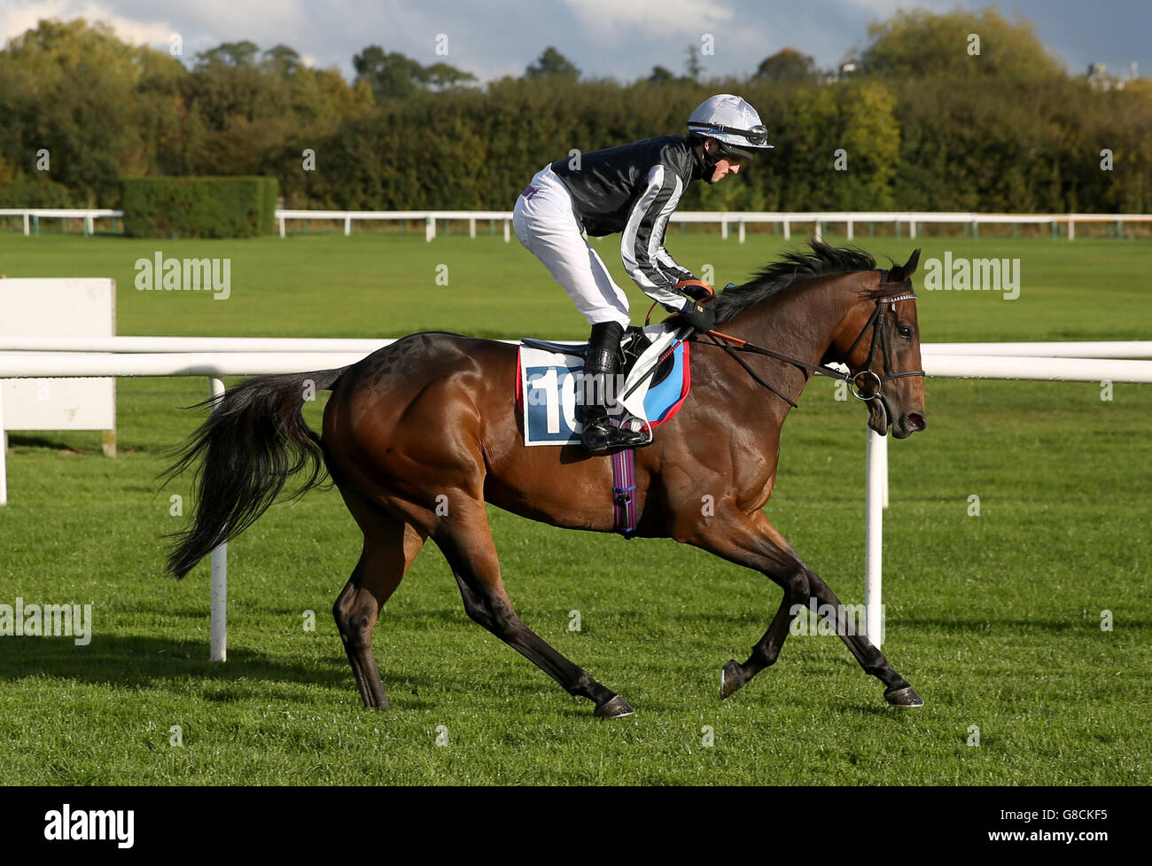 Ne l'avez pas ensuite monté par Tim Clark va à la poste à Leicester Racecourse.APPUYEZ SUR ASSOCIATION photo.Date de la photo: Mardi 6 octobre 2015.Voir PA Story RACING Leicester.Le crédit photo devrait se lire comme suit : Simon Cooper/PA Wire. Banque D'Images