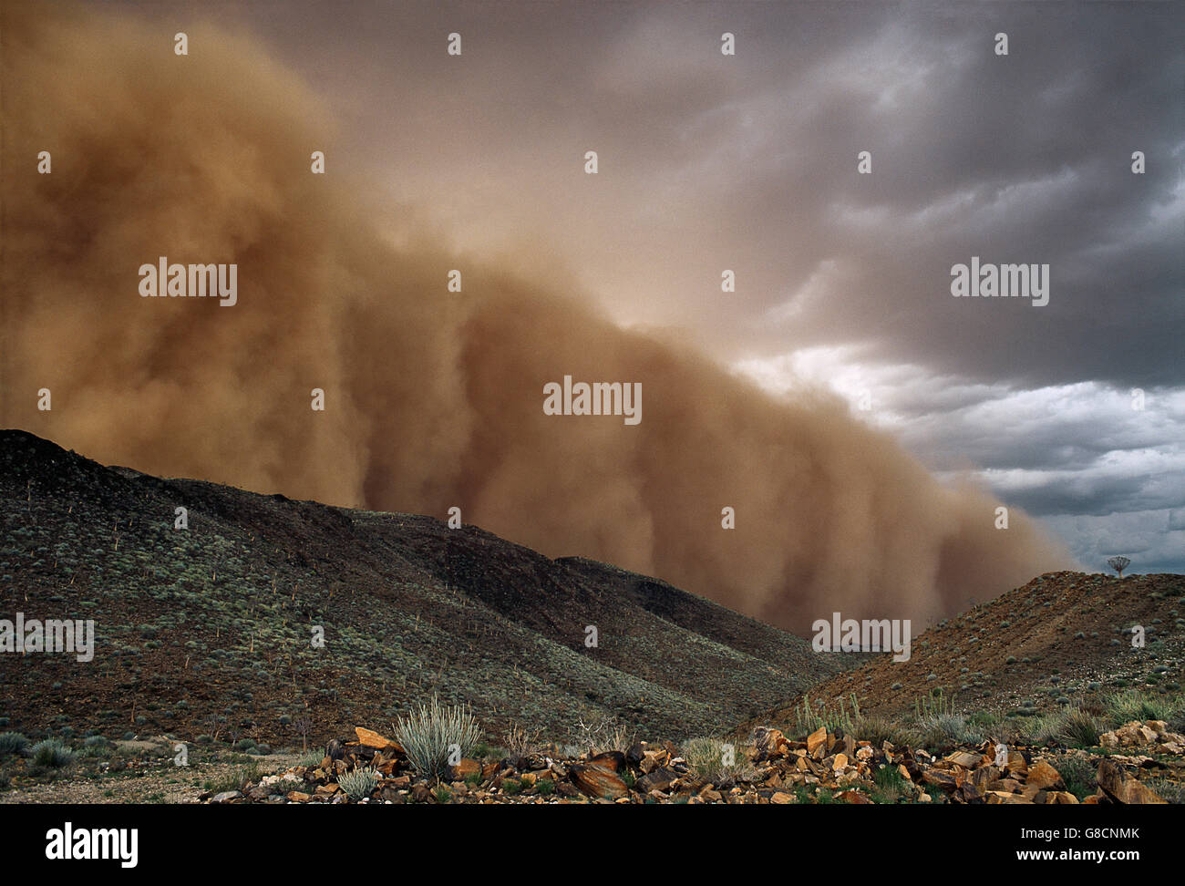 Sandstorm, Désert du Namib, Namibie. Banque D'Images