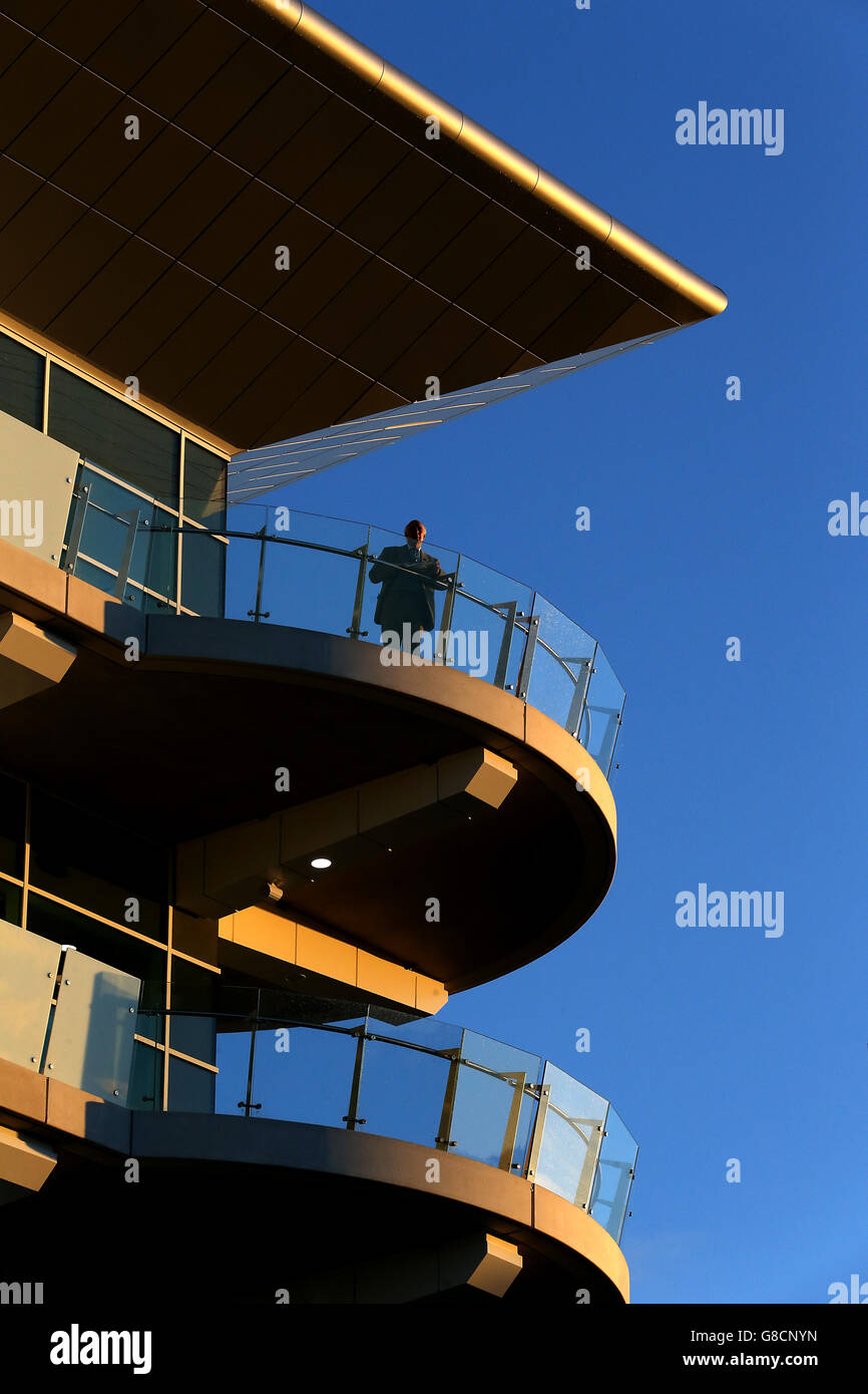 Courses hippiques - The Showcase - deuxième jour - Hippodrome de Cheltenham.Un coureur de course bénéficie de la vue depuis le sommet de la tribune royale de la princesse à l'hippodrome de Cheltenham Banque D'Images