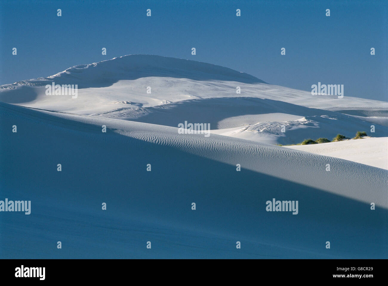 Dunes de sable blanc, le cap Agulhas, Afrique du Sud. Banque D'Images