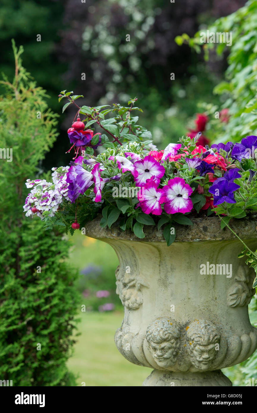 Urne en pierre plein de fleurs dans un jardin de Cotswold. Arles, France Banque D'Images