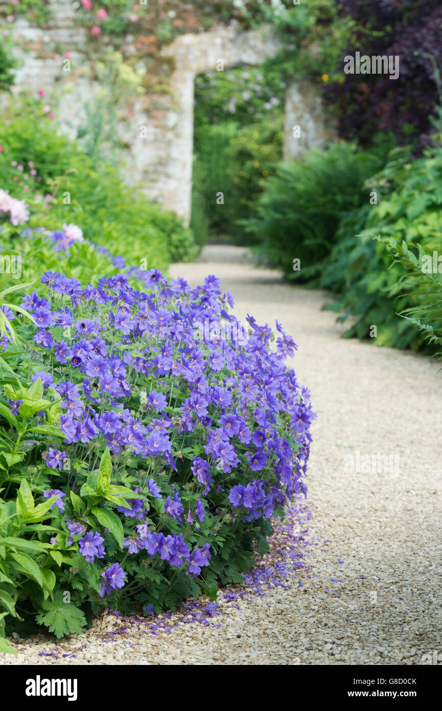 Jardin clos et le chemin à la frontière de fleurs Rousham House et jardin. Oxfordshire, Angleterre Banque D'Images