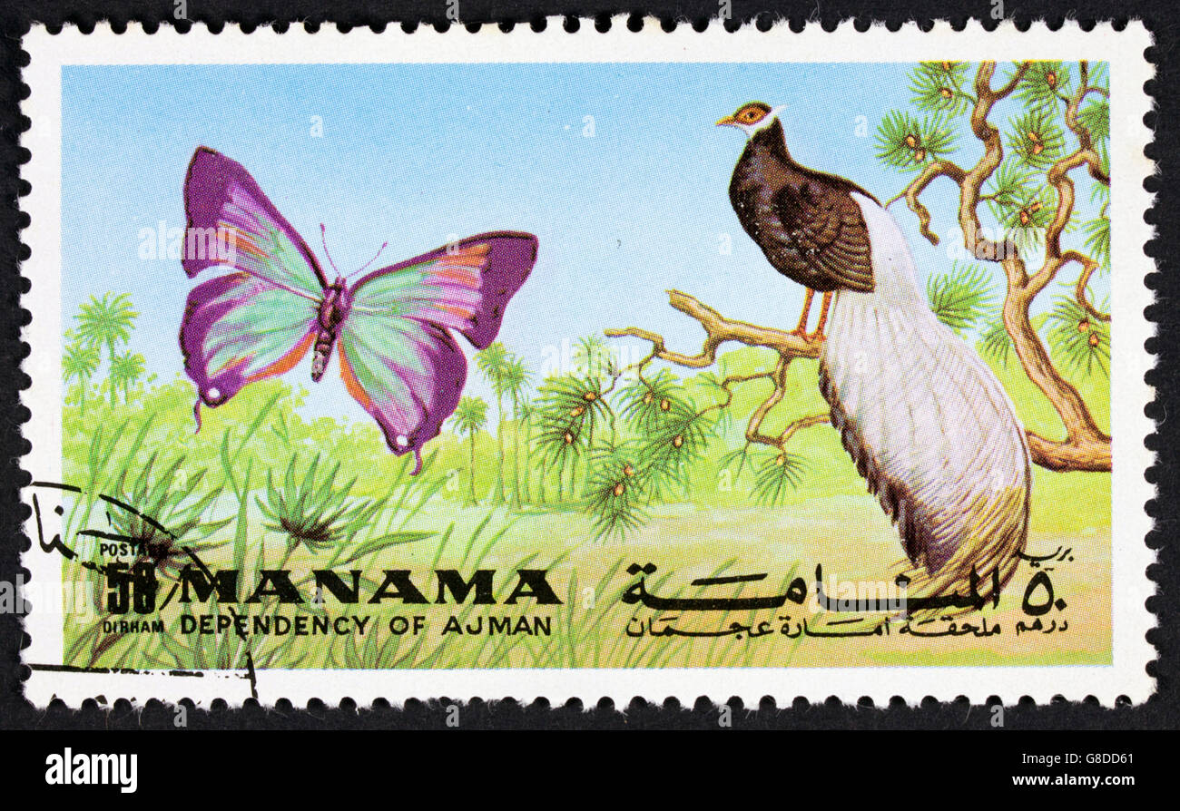 GROOTEBROEK ,les Pays-bas - MARS 15,2016 : un timbre imprimé dans l'Ajman Manama montrant un papillon et oiseaux vers 1972. Banque D'Images