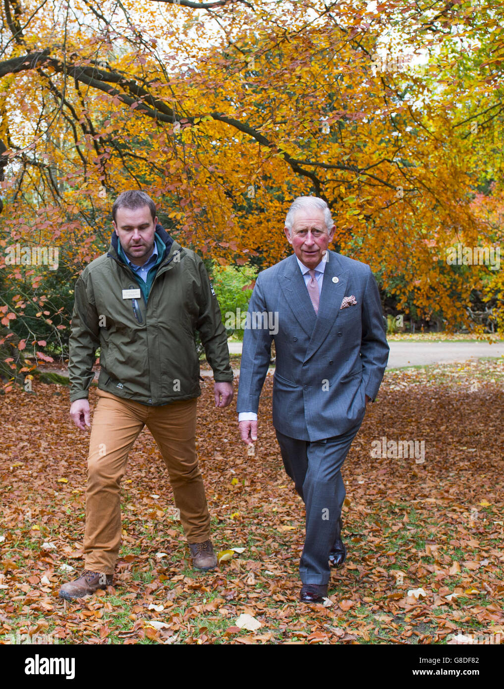 Le Prince de Galles lors d'une visite au jardin Laurent Perrier à Chatsworth, près de Bakewell dans le Derbyshire. Banque D'Images