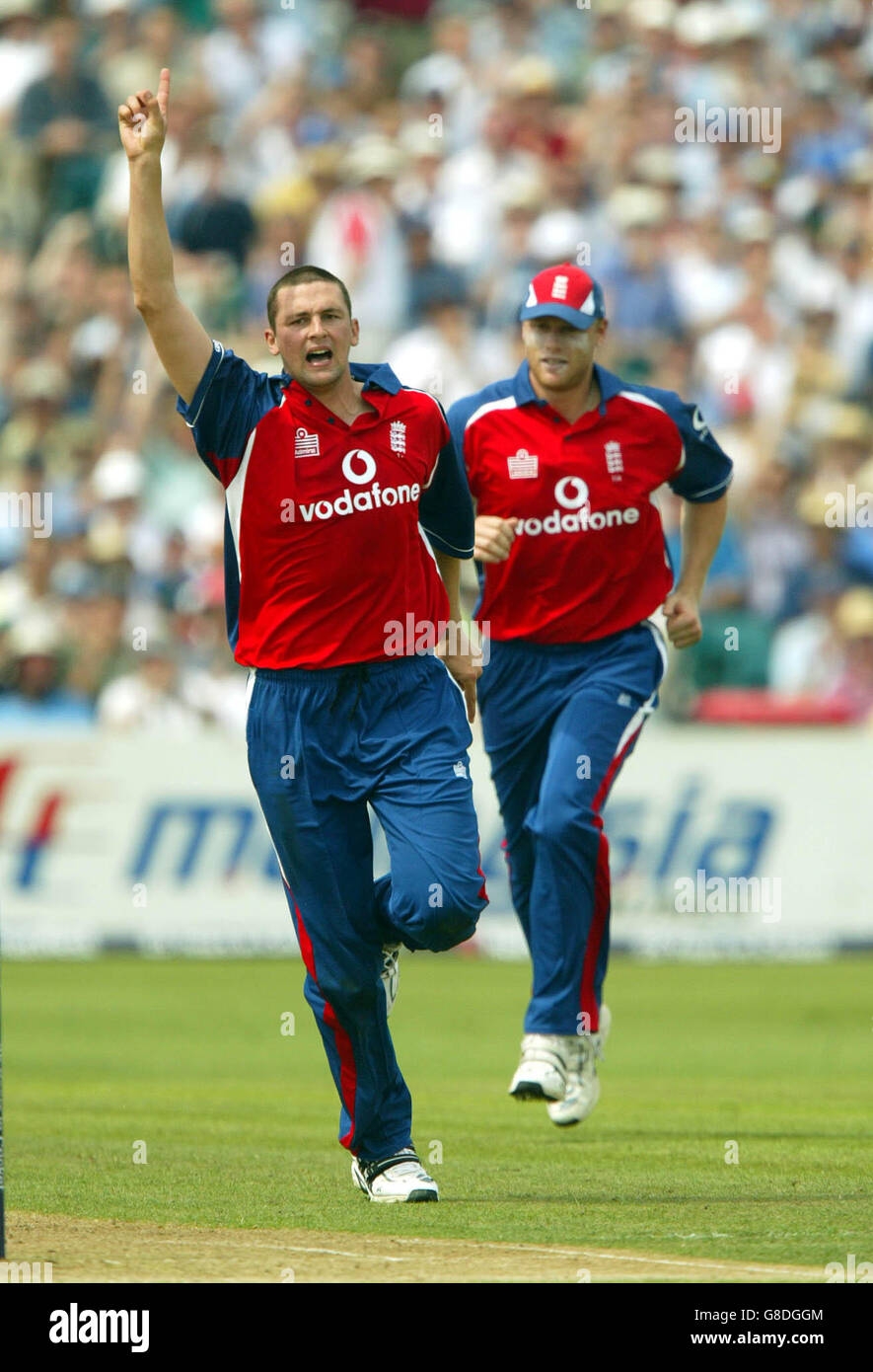 Cricket - série nationale internationale de triangulaires - Angleterre v Australie - terrain de comté.Le joueur d'Angleterre Steve Harmison célèbre le cricket d'Adam Gilchrist en Australie Banque D'Images