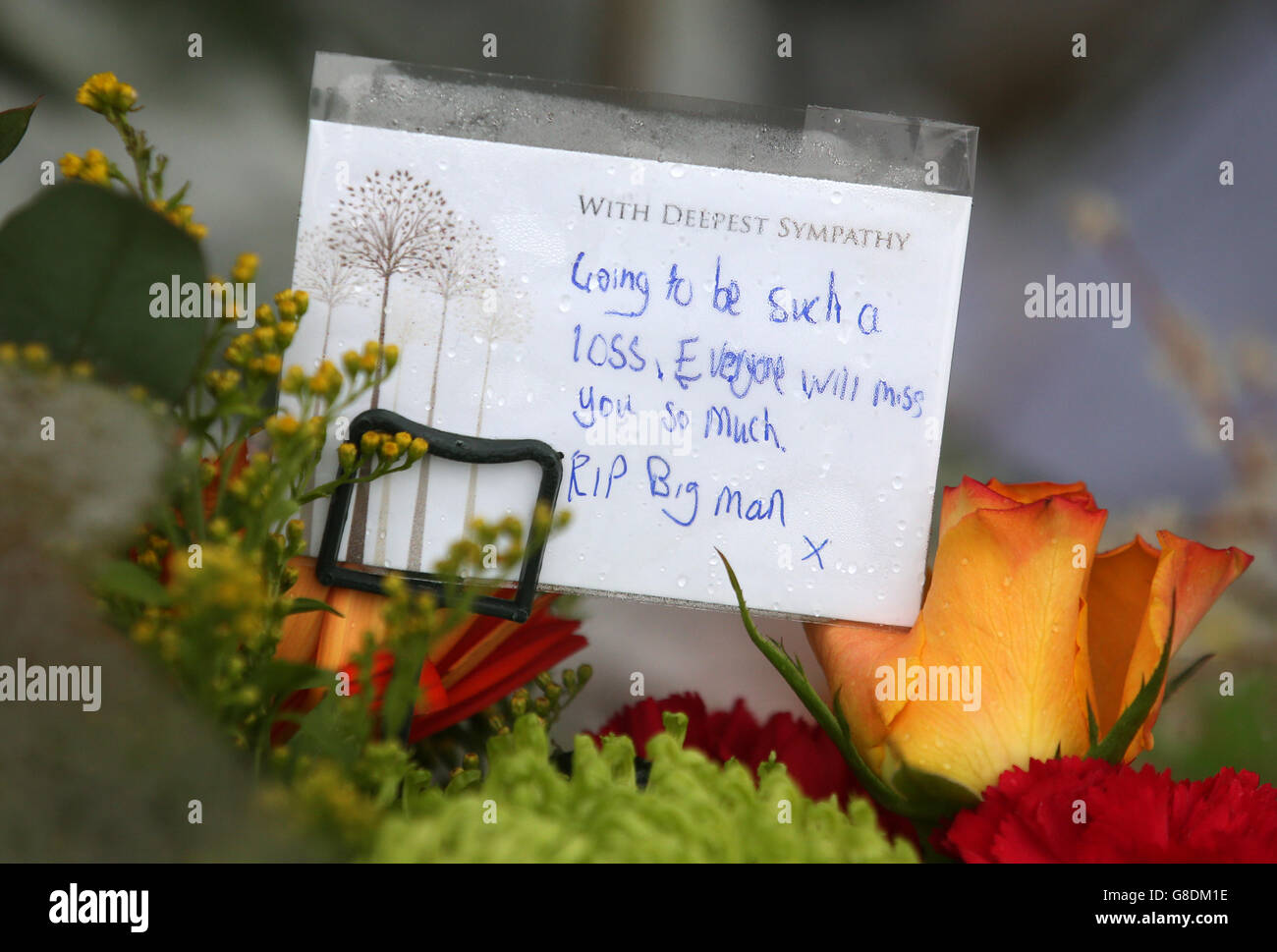 Fleurs à l'extérieur de l'académie des cultes à Aberdeen, où Bailey Gwynne, 16 ans, est décédé après avoir été poignardé. Banque D'Images