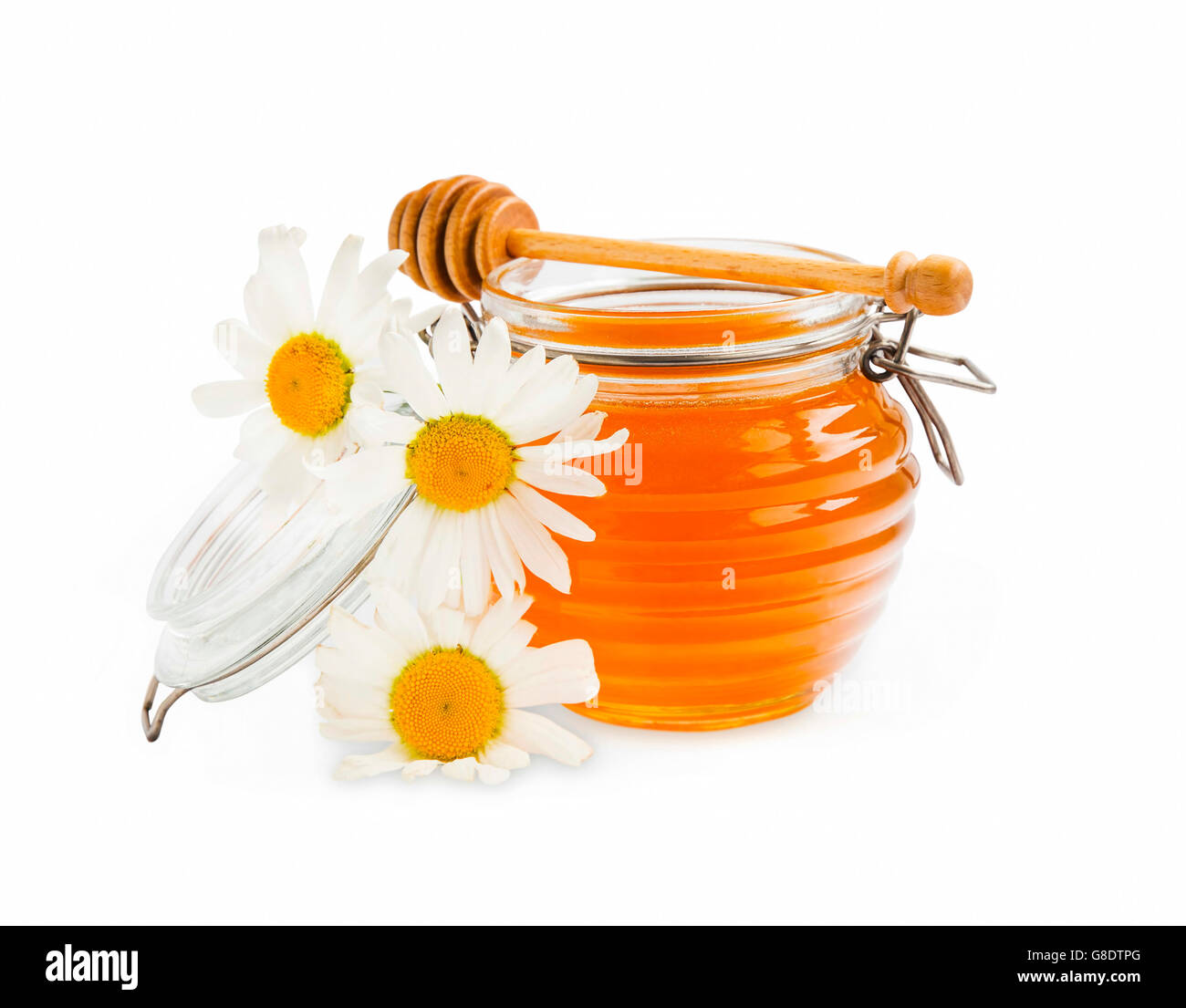 Pot de miel fleurs de camomille isolated Banque D'Images