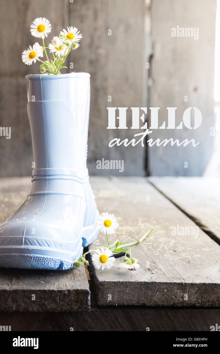 Bonjour l'automne, Daisy et bottes vintage sur une table, Banque D'Images