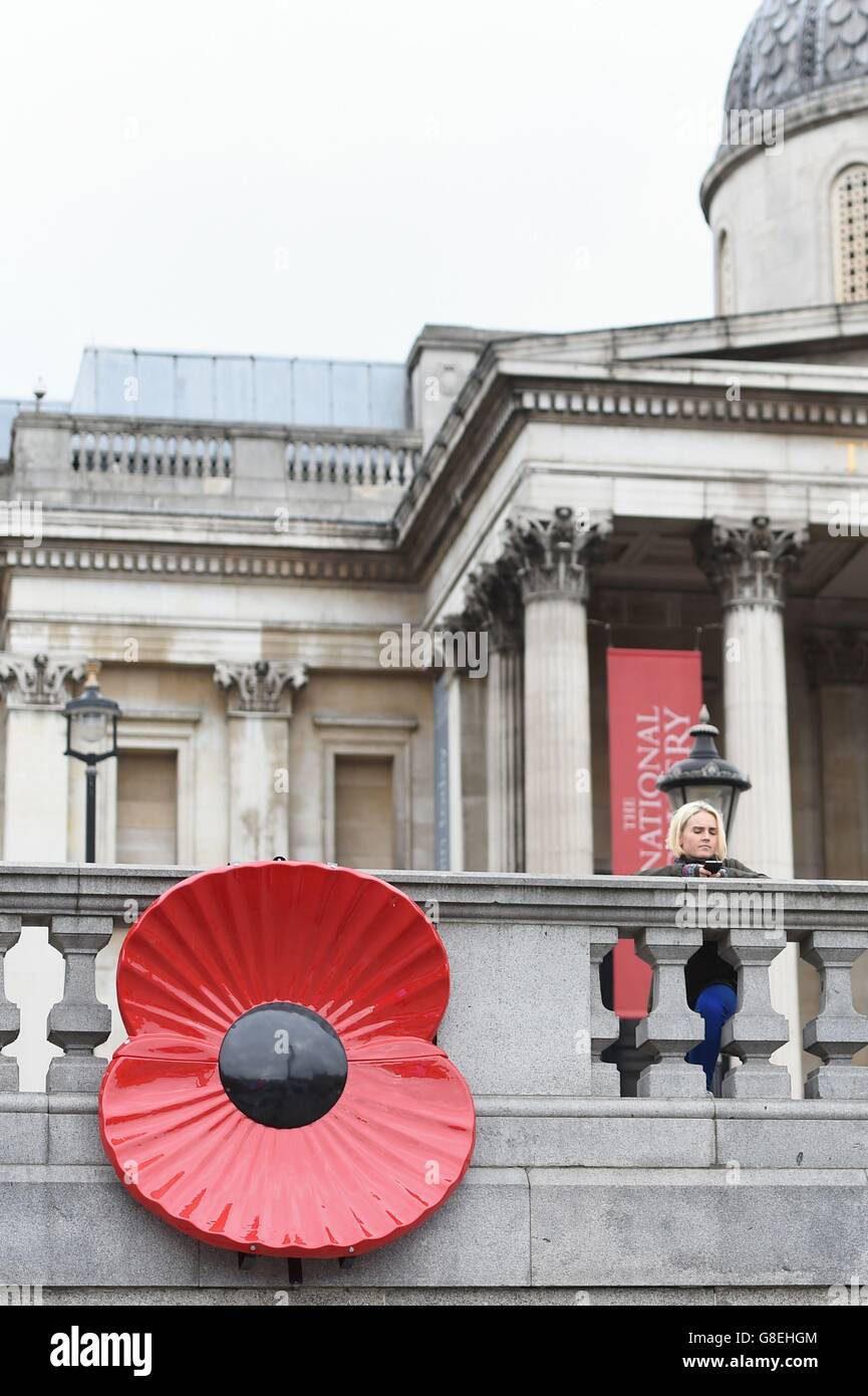 Un coquelicot à Trafalgar Square, Londres, avant deux minutes de silence est observé pour marquer le jour de l'Armistice, l'anniversaire de la fin de la première Guerre mondiale. Banque D'Images