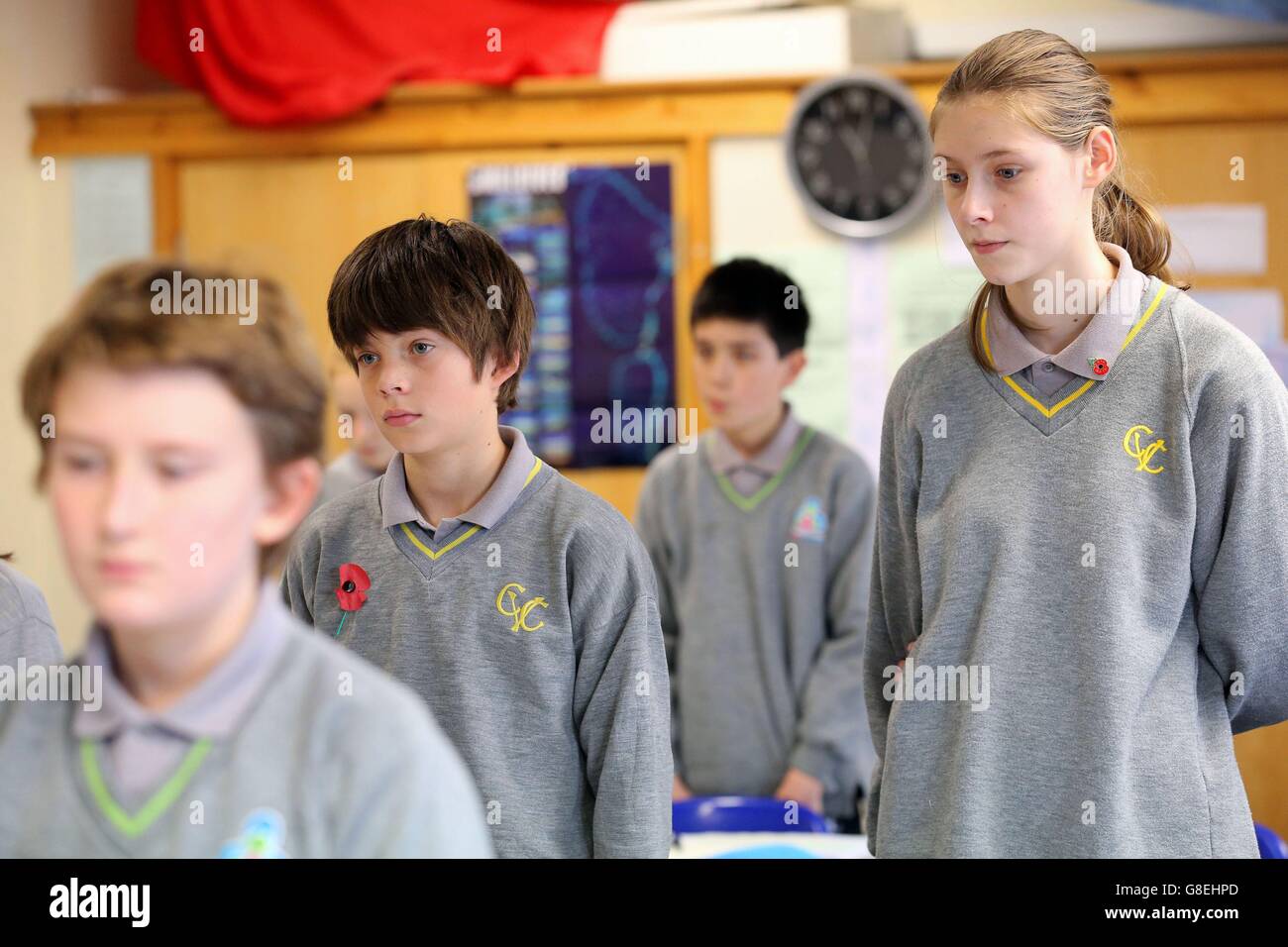 Le jour de l'Armistice 2015 Banque D'Images