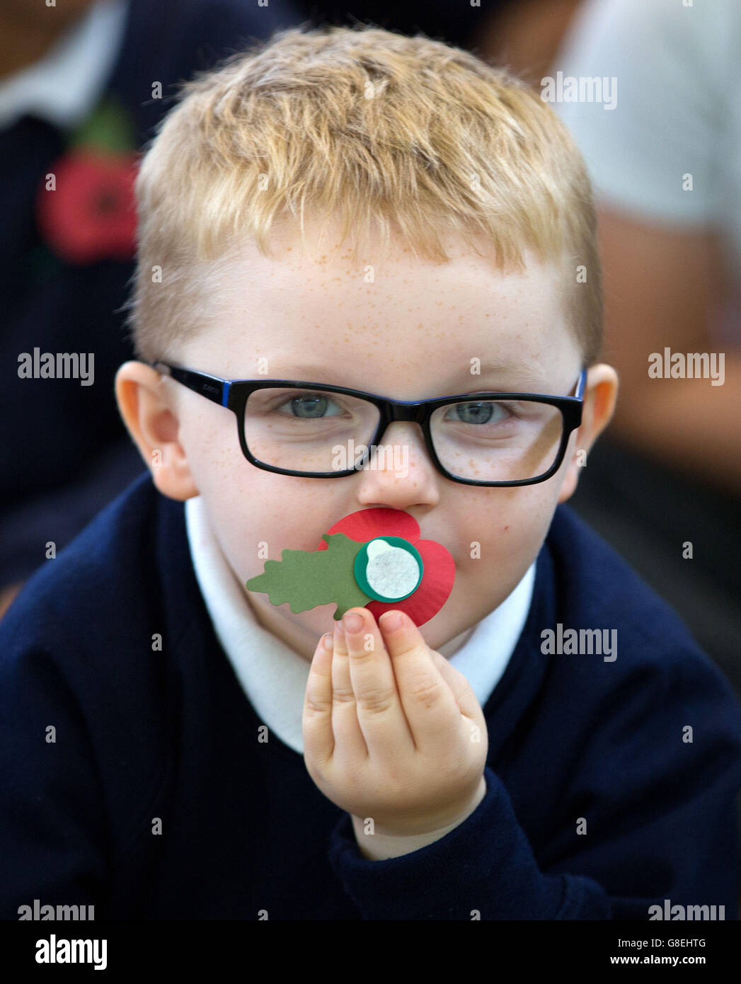 Le jour de l'Armistice 2015 Banque D'Images