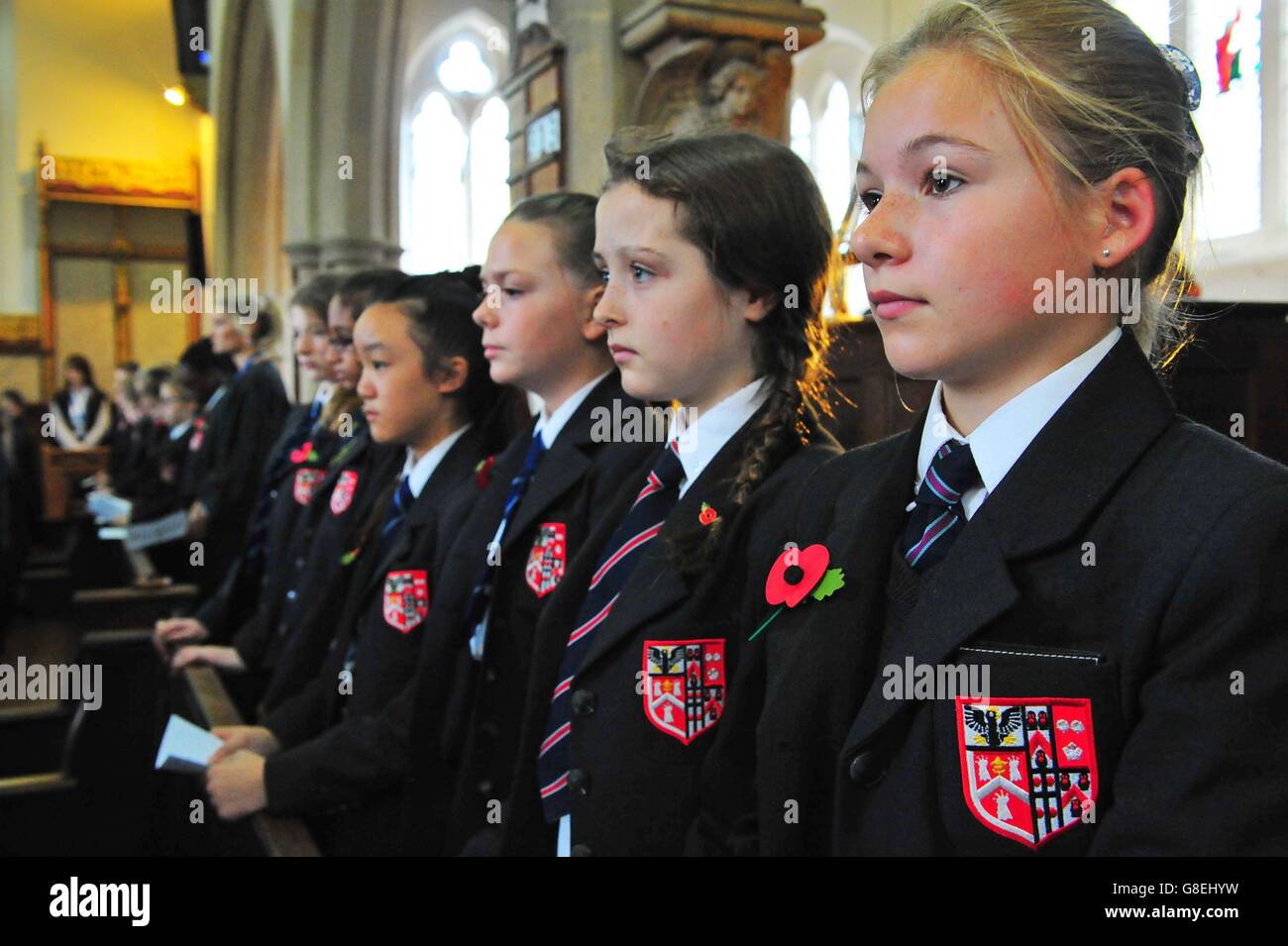 Le jour de l'Armistice 2015 Banque D'Images