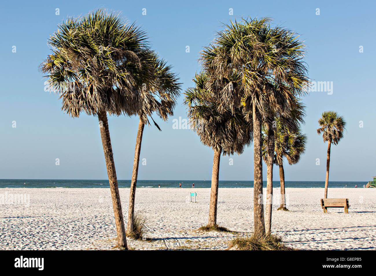 Siesta Key Beach et du golfe du Mexique à Sarasota, Floride. Banque D'Images
