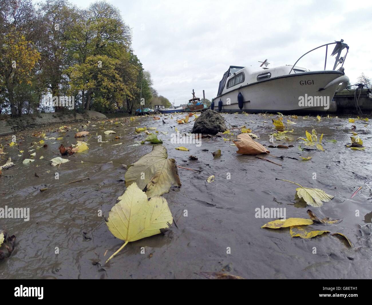 La Tamise à Twickenham, après avoir été drainée pour la période de décollage annuelle, au cours de laquelle une inspection du lit de la rivière et des travaux d'entretien essentiels seront effectués sur l'écluse, les déversoirs et les sluces de Richmond. Banque D'Images