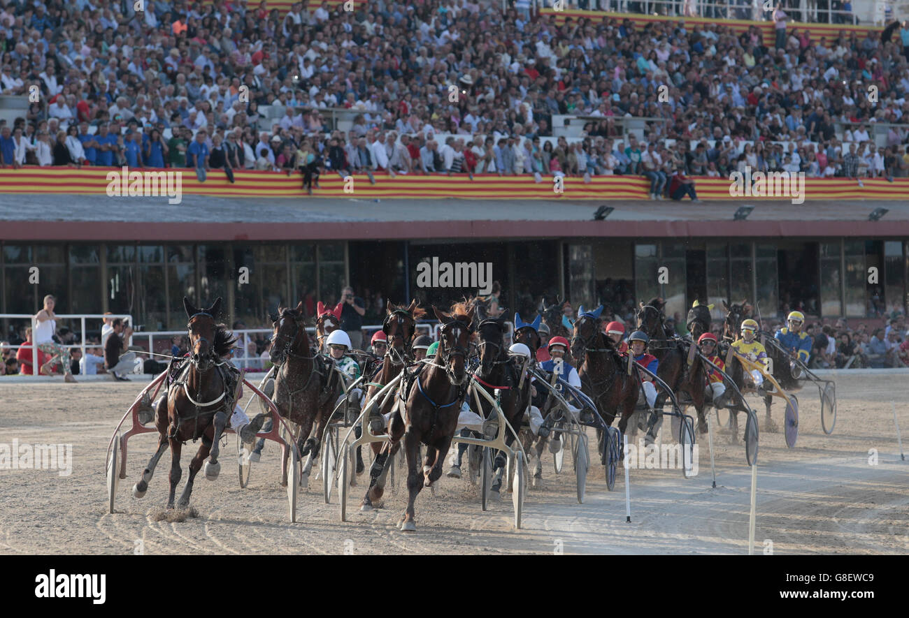 Riders en compétition lors d'une course de chars du faisceau du cheval dans l'hippodrome de Palma de Majorque. Banque D'Images