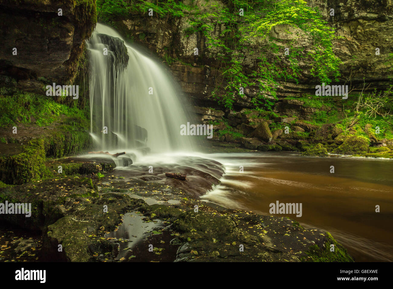 Chaudron Falls est une cascade sur Walden Beck près du village de West Burton Banque D'Images