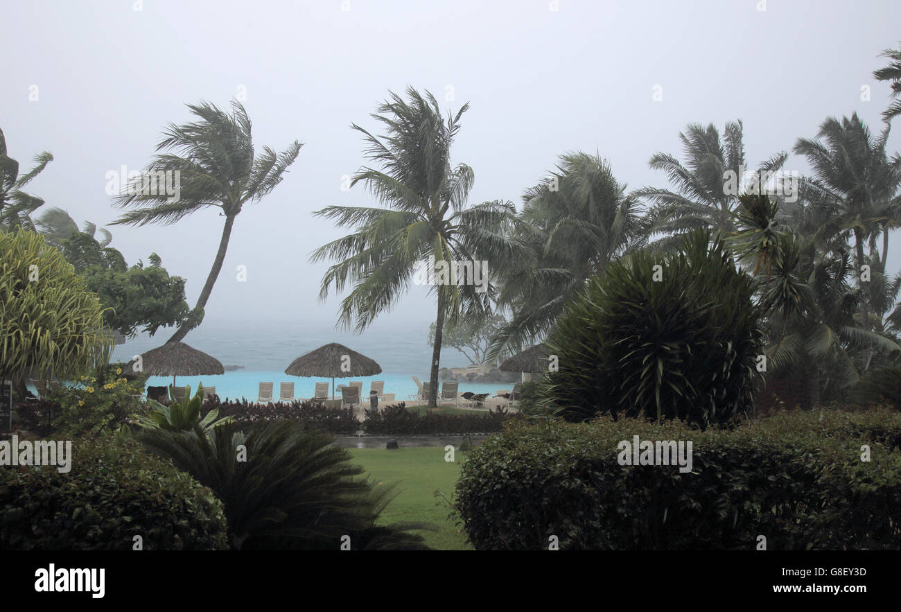 Palmiers dans la tempête tropicale papeete tahiti Banque D'Images