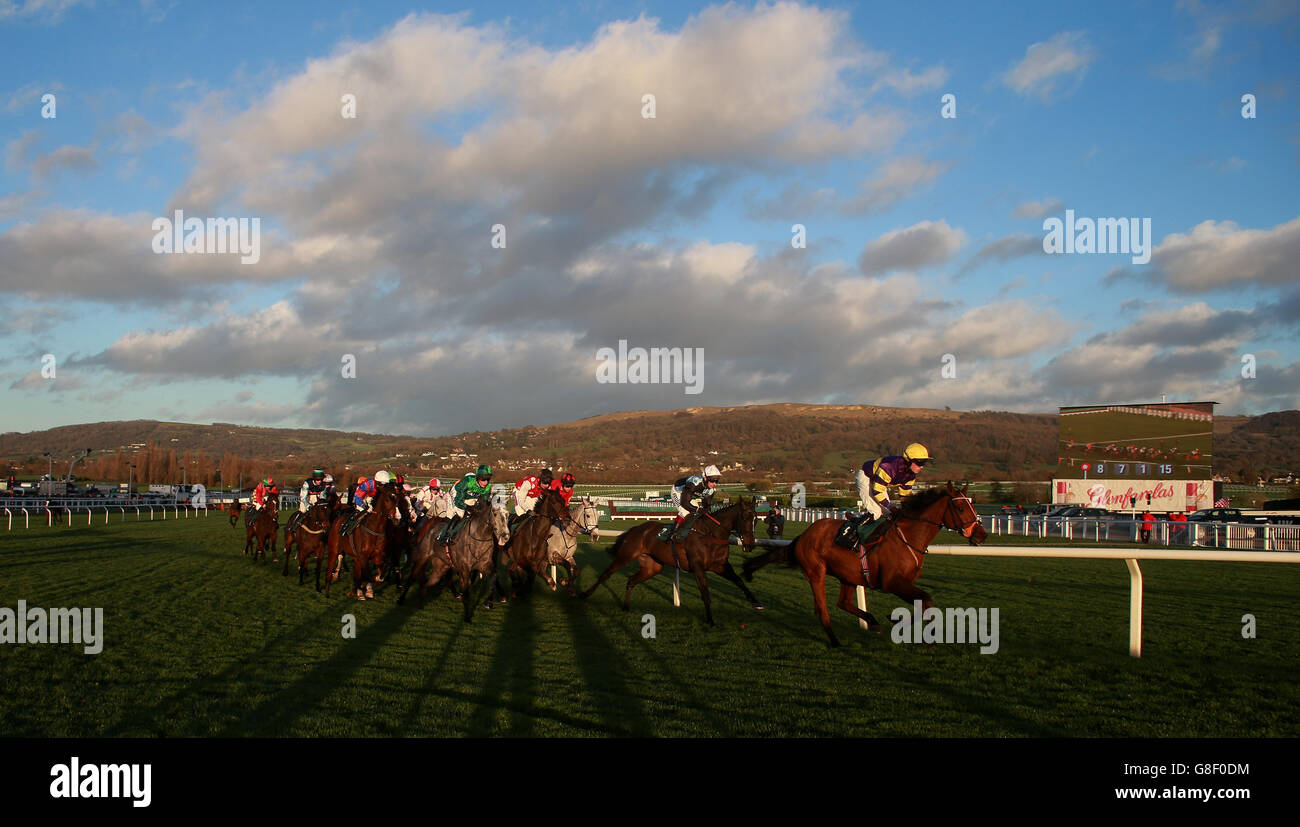 Sont-ils votre propre monté par Nick Slatter mène le terrain dans l'obstacle handicap de Opus Energy novices pendant le premier jour de l'Open à Cheltenham racecourse, Cheltenham. Banque D'Images