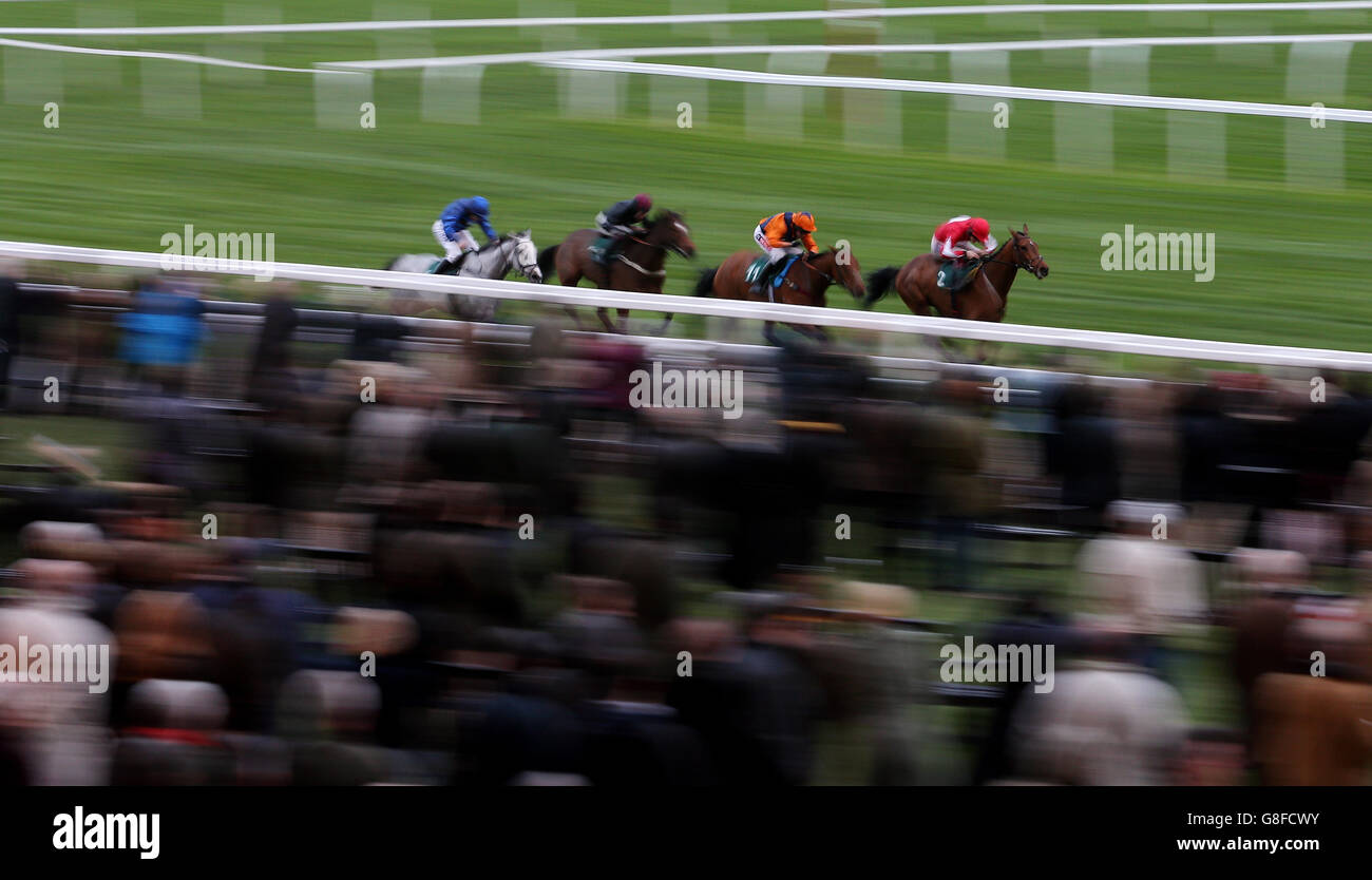Cheltenham races - The Open - The Open Sunday. S Standard Open National Hunt Flat Race pendant la troisième journée de l'Open à cheltenham racecourse, Cheltenham. Banque D'Images