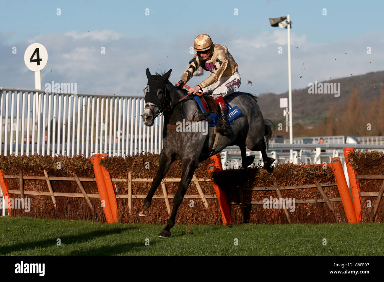 Alcalá, monté par Sam Twiston-Davies, saute la clôture pendant le Neptune Investment Management fait obstacle aux novices Banque D'Images