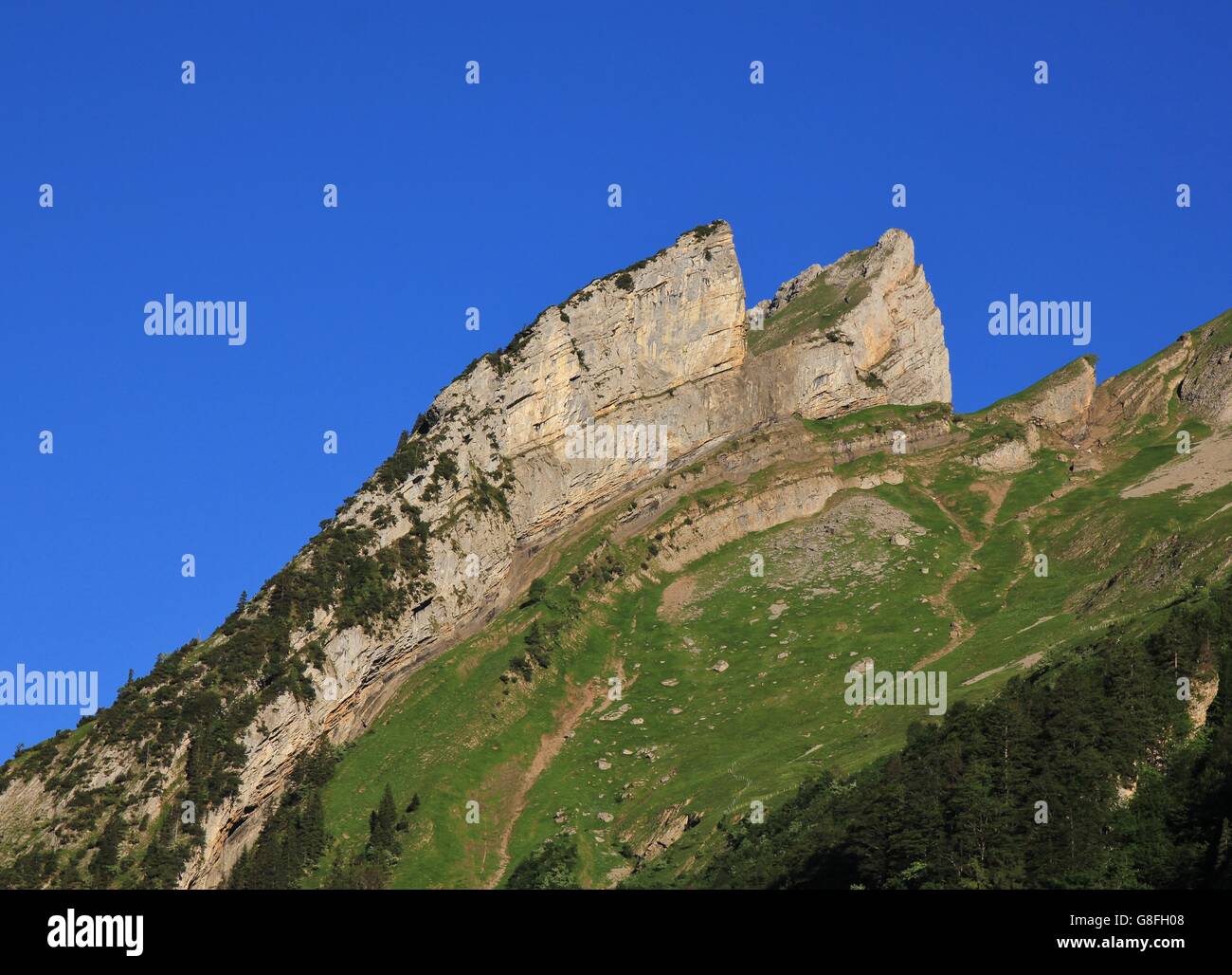 Scène dans les Alpes suisses. Plis alpins visibles. Banque D'Images