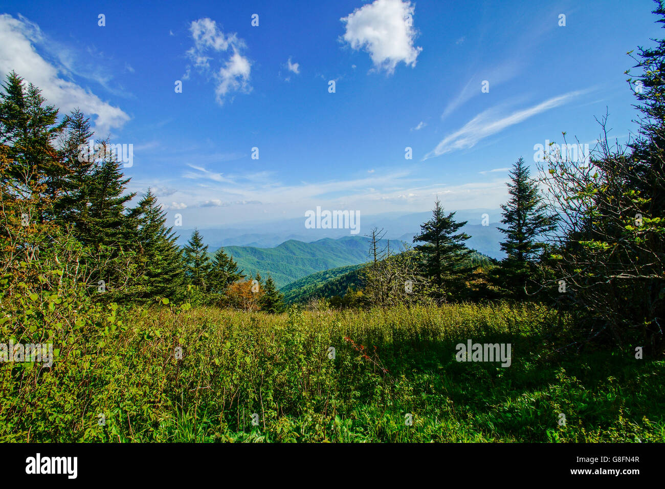 Sentier des Appalaches Appalaches, North Carolina, USA Banque D'Images