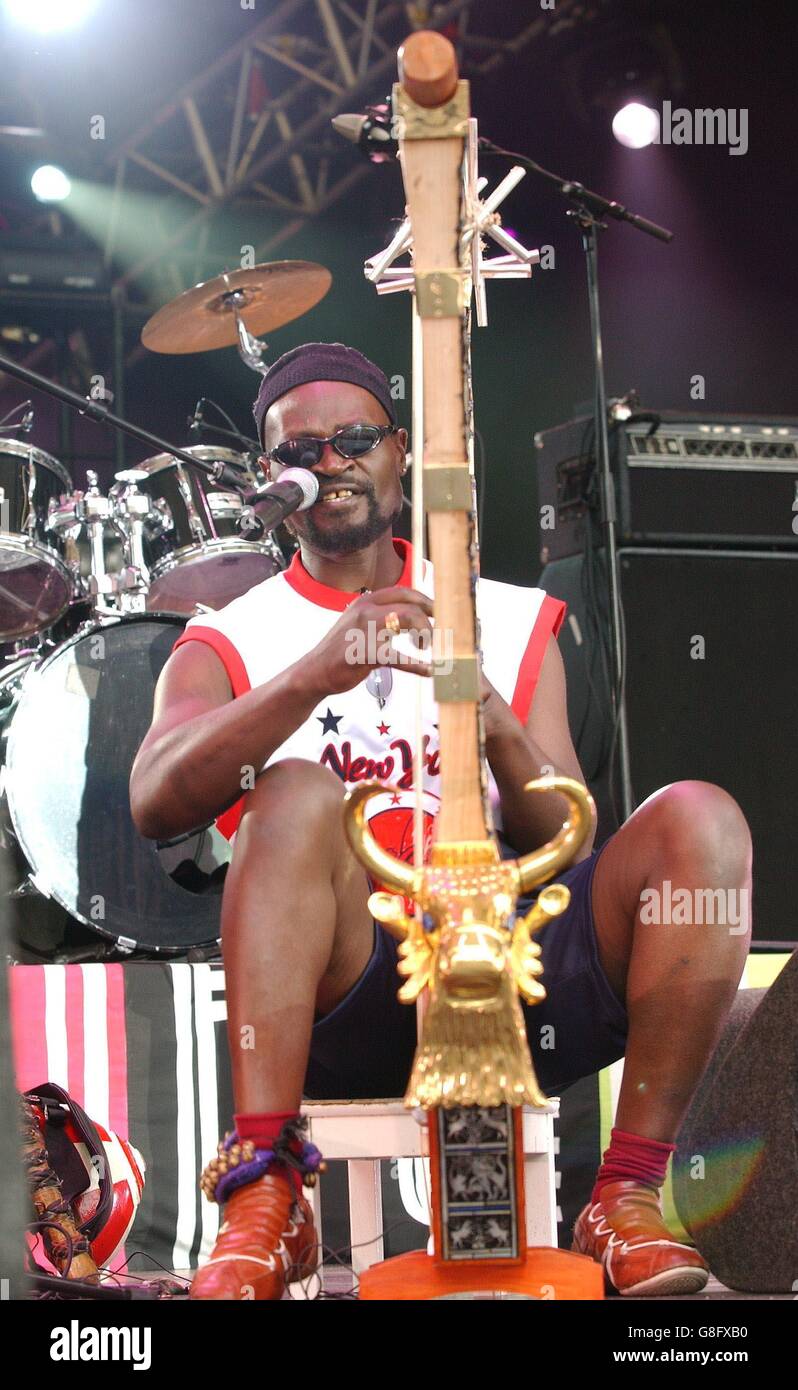 8 live concert - l'appelant l'Afrique projet Eden Banque D'Images