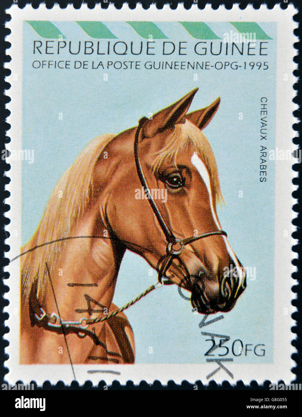 République de Guinée - circa 1995 : timbre imprimé en République de Guinée montre cheval arabe, circa 1995 Banque D'Images