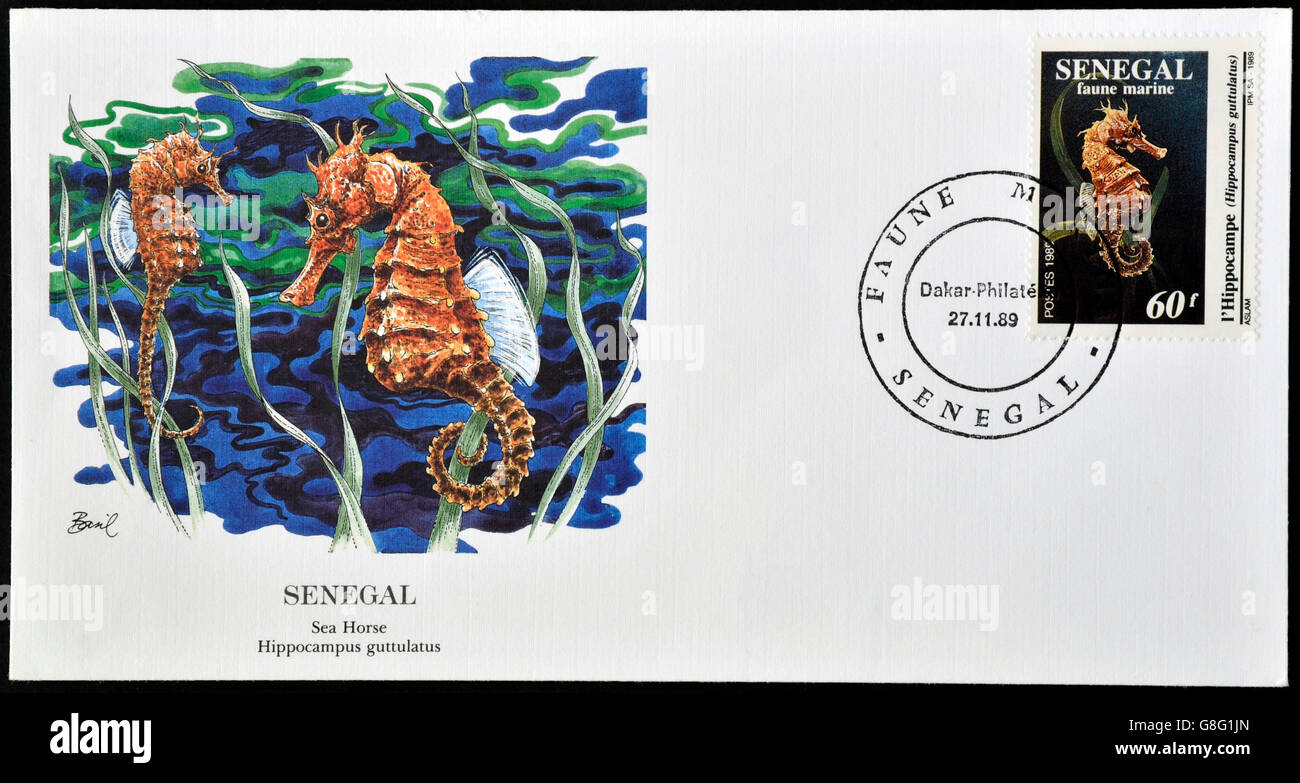 Sénégal - circa 1989 : timbre imprimé au Sénégal montre sea horse, hippocampus guttulatus, vers 1989 Banque D'Images