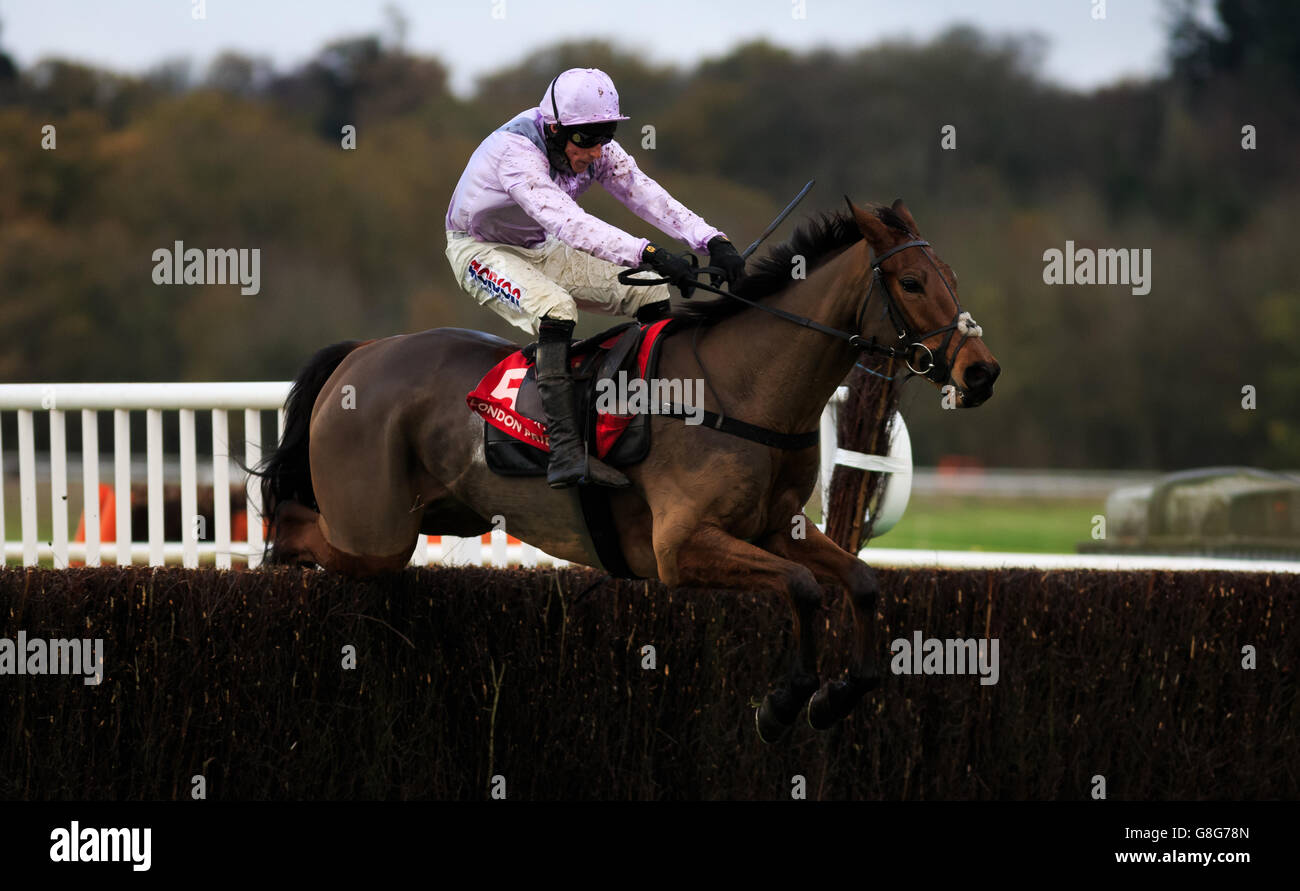 Trois mousquetaires criblés par Harry Skelton saute le dernier sur la voie de gagner le Fuller London Pride novicess' Chase (Grade 2) (enregistré comme le Berkshire novicess' Chase) (classe 1) (4YO plus) pendant le Bet365 Festival vendredi à Newbury Racecourse. Banque D'Images