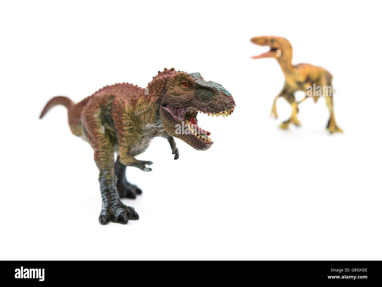 Tyrannosaurus velociraptor et sur un fond blanc Banque D'Images